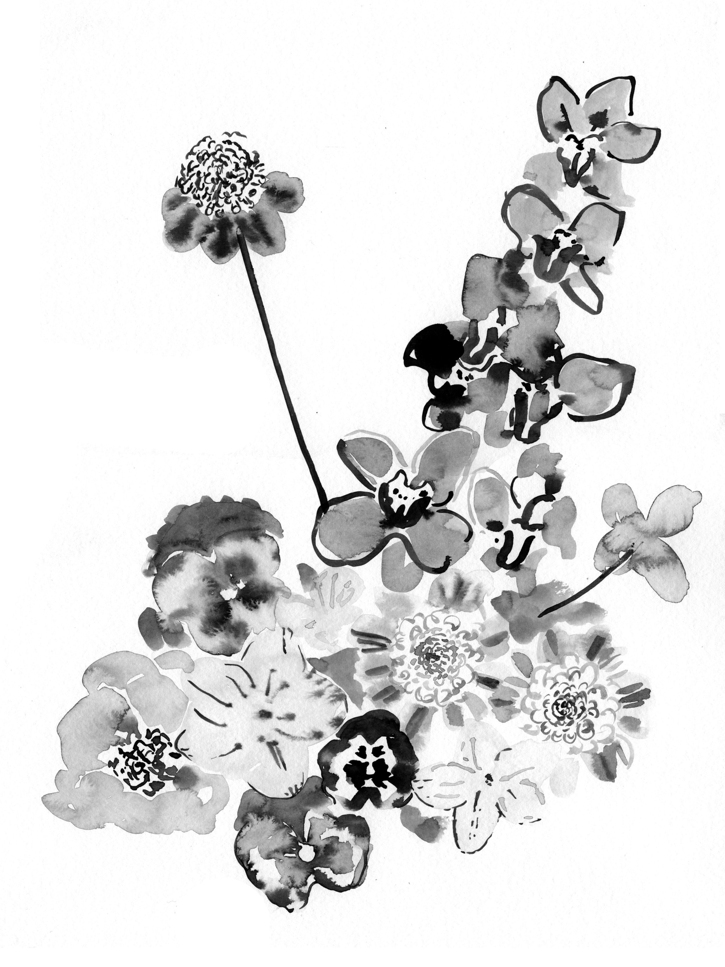Sarahhankinson_Ink_Botanical3 copy.jpg