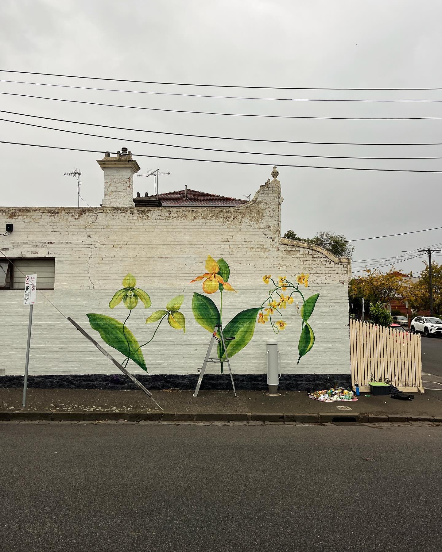 Yesterday I completed this residential orchid mural. The best part about it was chatting to passers by and neighbours who loved the addition of more nature in the area. Everyone was so encouraging. I learnt a Turkish phrase - Kolay gelsin - which mea