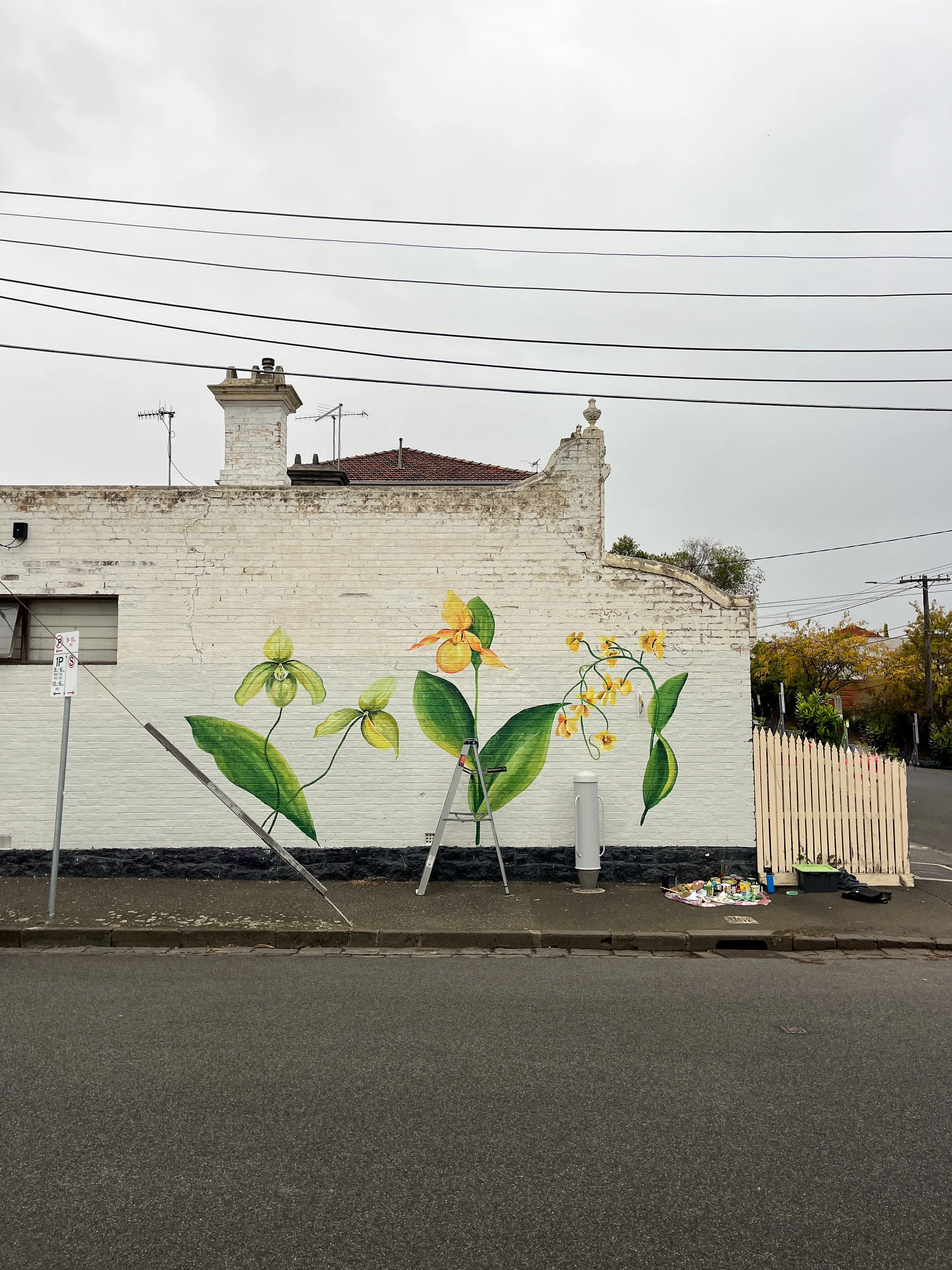 Prahran Botanical Orchid Mural_Sarah Hankinson.jpg