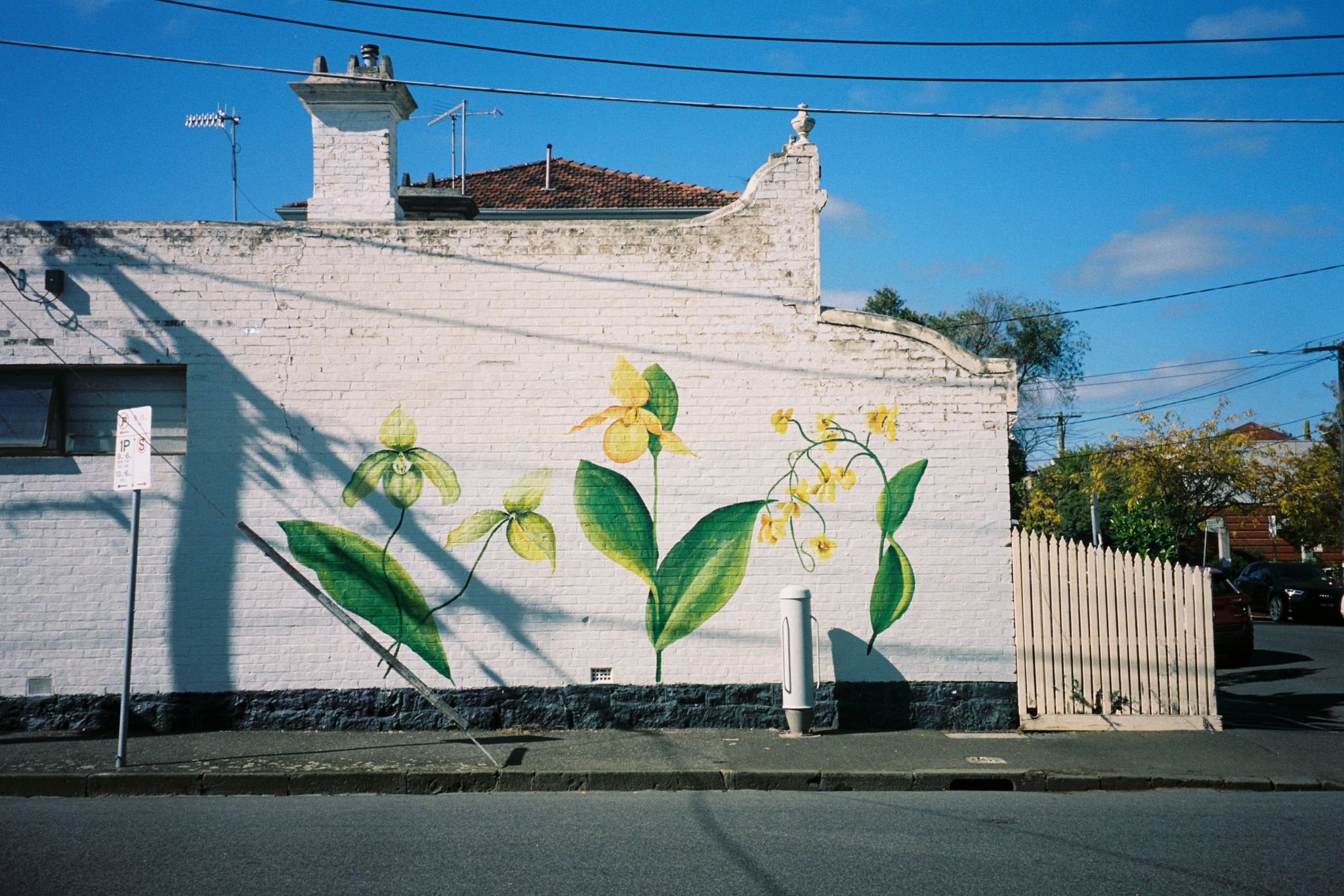 sarahhankinson_ramble mural18.JPG