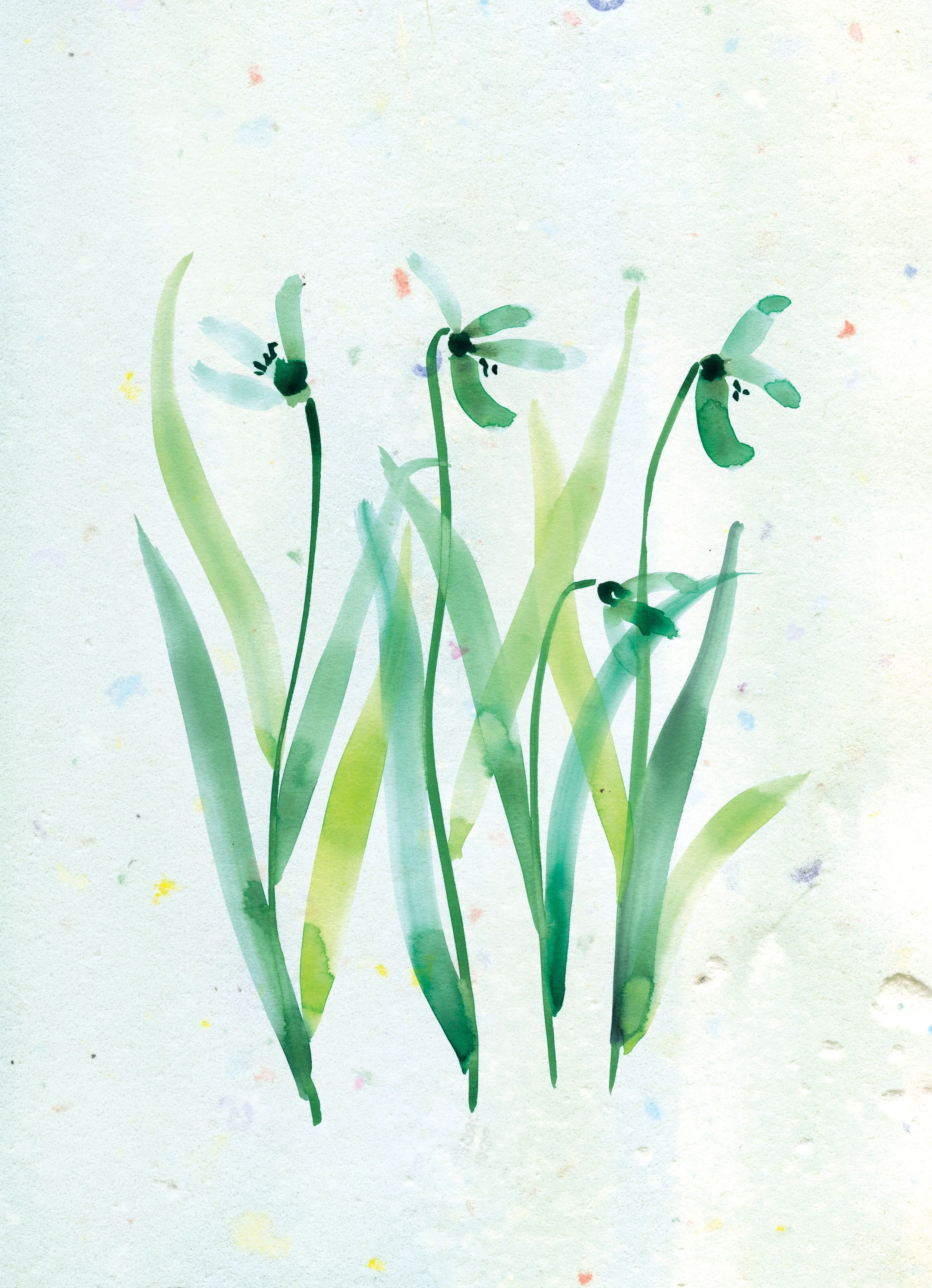 6-June2024-Calendar_SarahHankinson.jpg