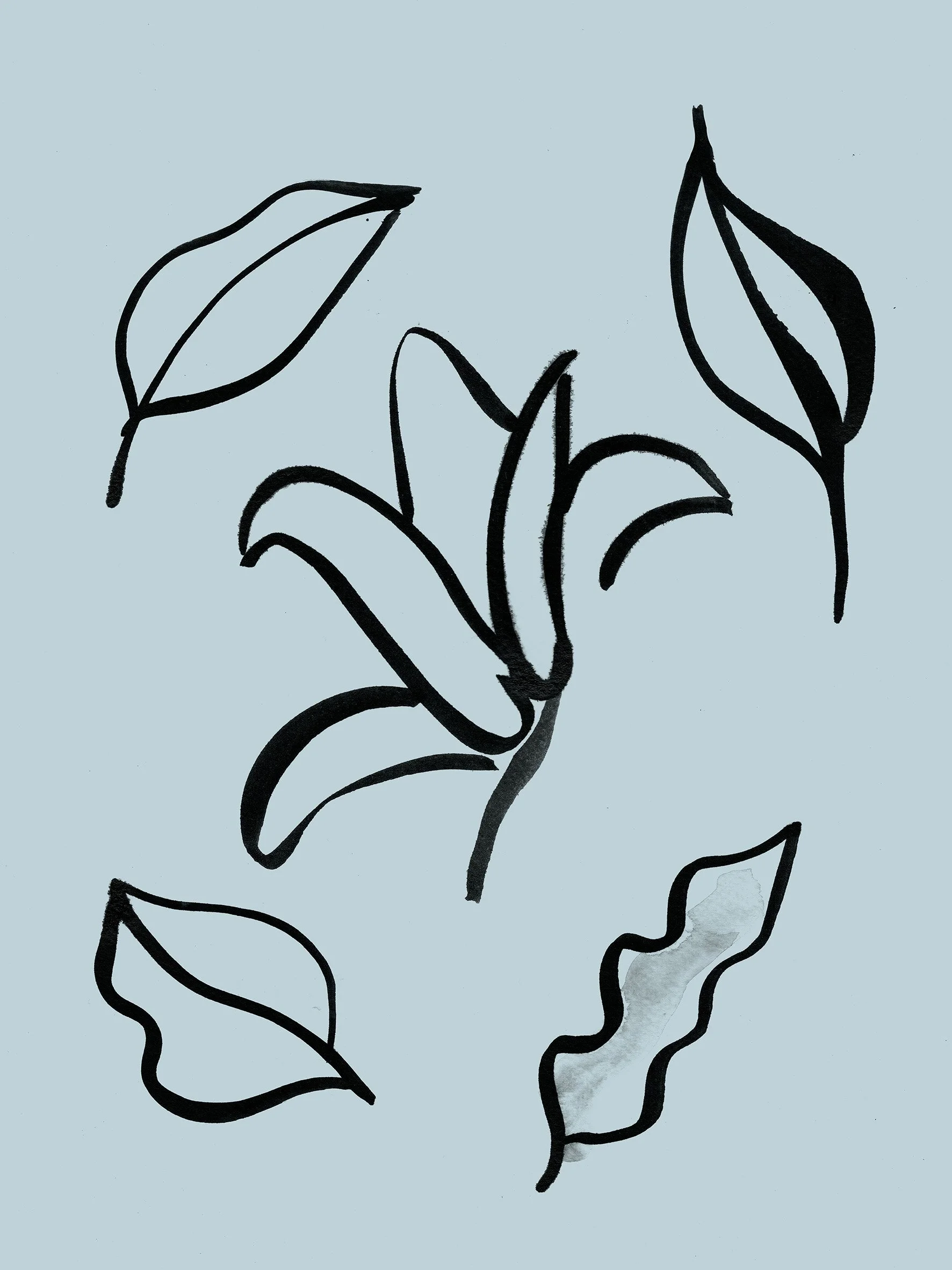 Gallello lace_2 copy_Sarah Hankinson Melbourne Illustrator.jpg