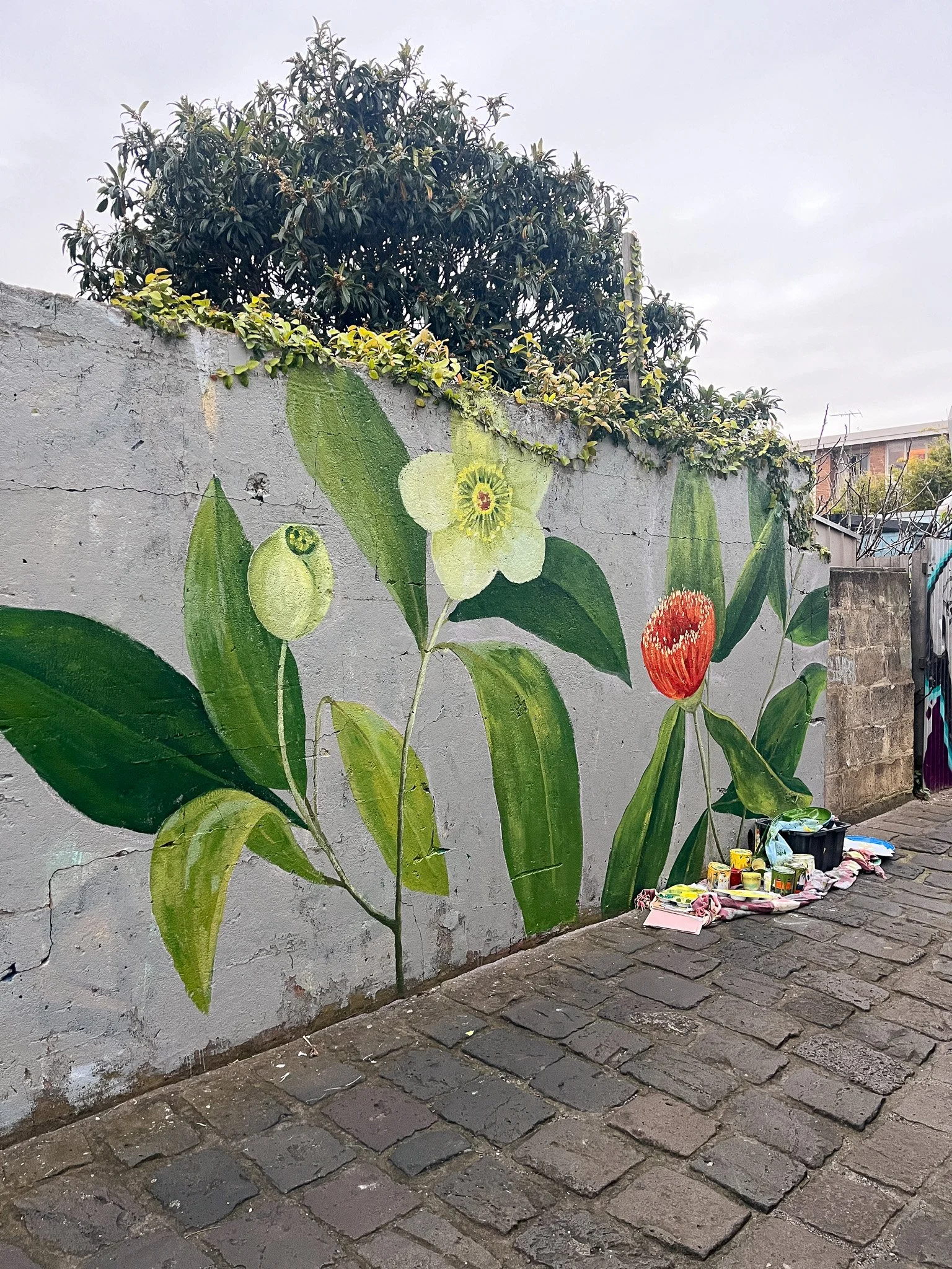 Elwood Botanical Mural_Sarah Hankinson Melbourne Illustrator14.jpg