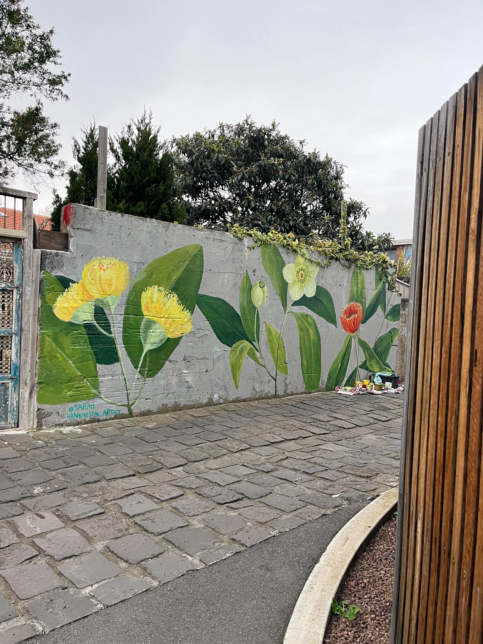 Elwood Botanical Mural_Sarah Hankinson Melbourne Illustrator8.jpg
