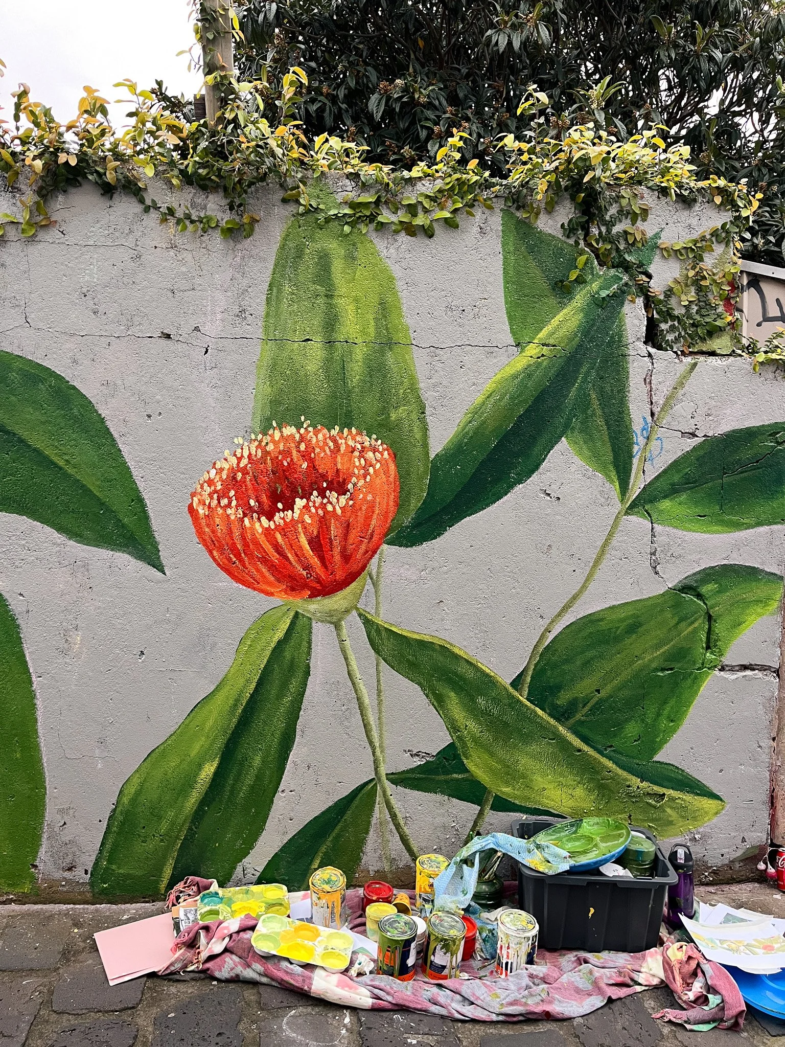 Elwood Botanical Mural_Sarah Hankinson Melbourne Illustrator10.jpg
