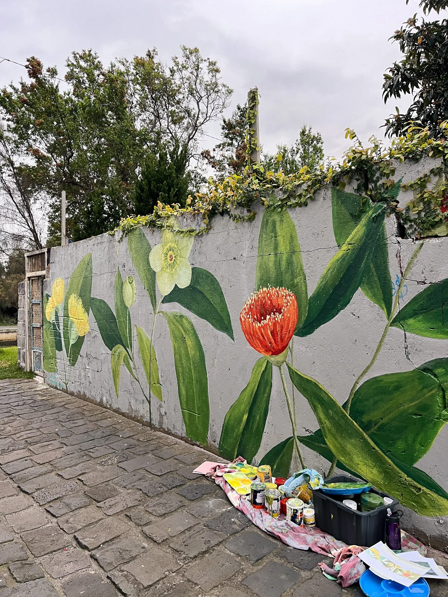 Elwood Botanical Mural_Sarah Hankinson Melbourne Illustrator11.jpg