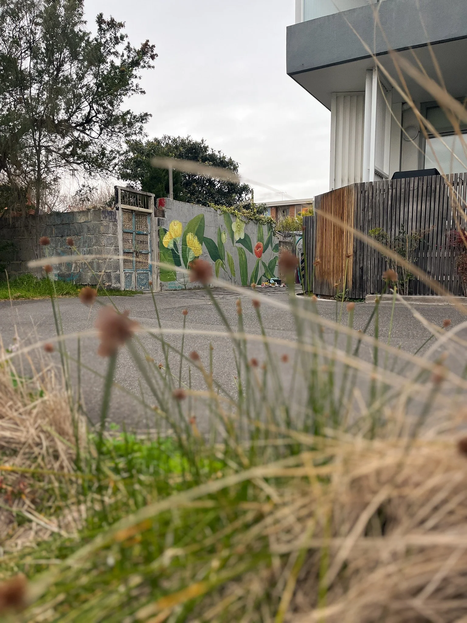 Elwood Botanical Mural_Sarah Hankinson Melbourne Illustrator13.jpg