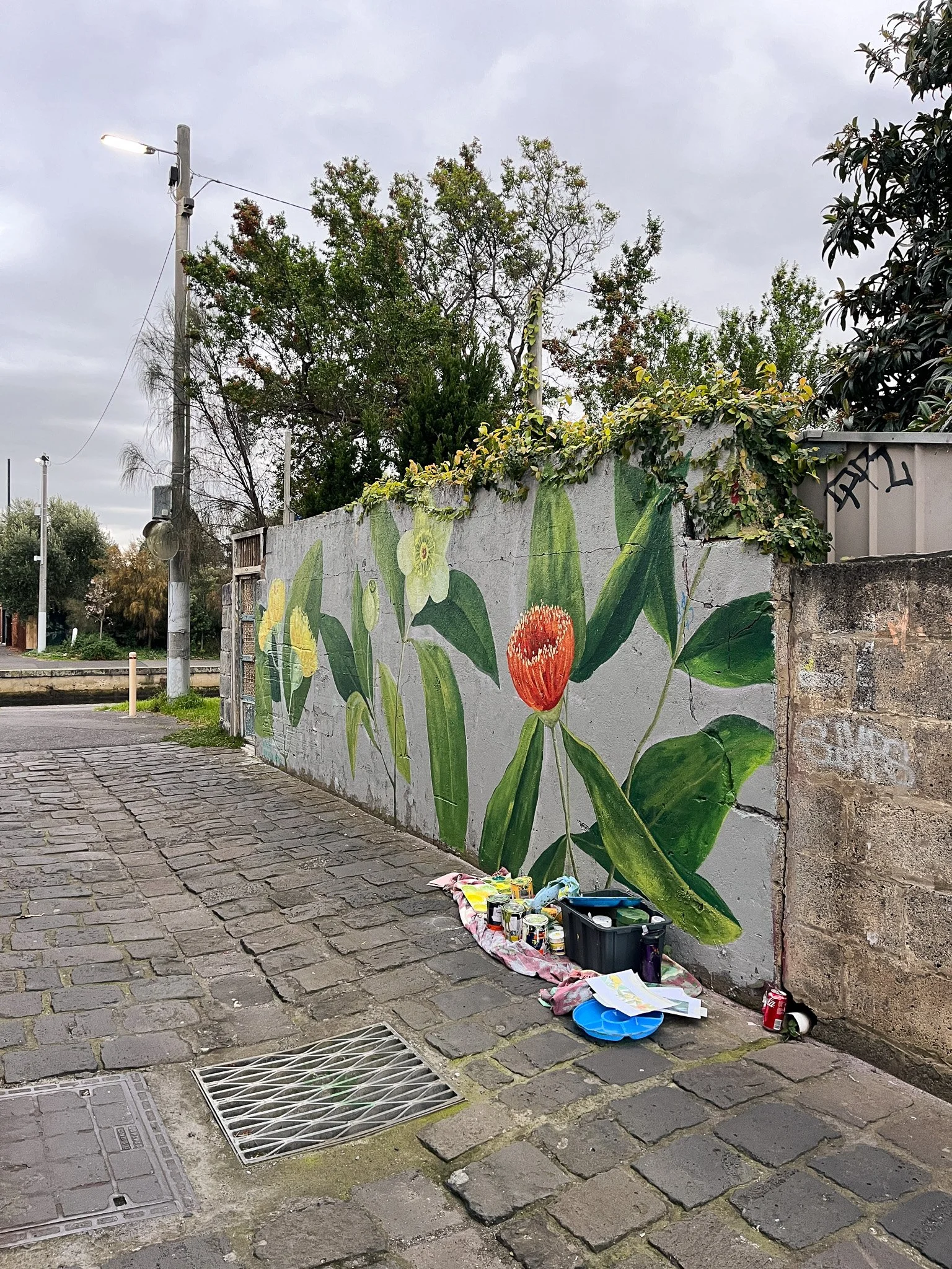 Elwood Botanical Mural_Sarah Hankinson Melbourne Illustrator12.jpg