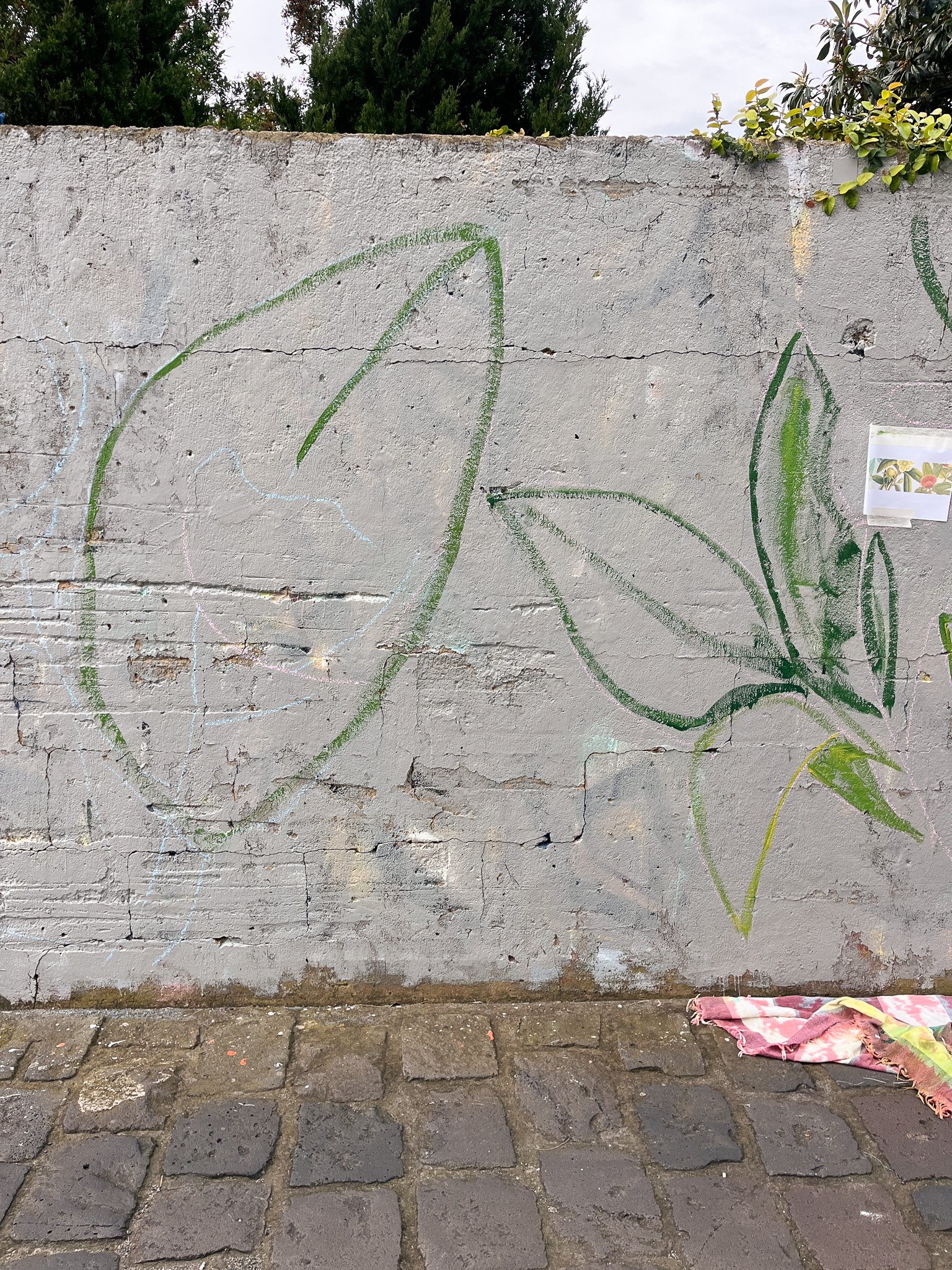 Elwood Botanical Mural_Sarah Hankinson Melbourne Illustrator3.jpg