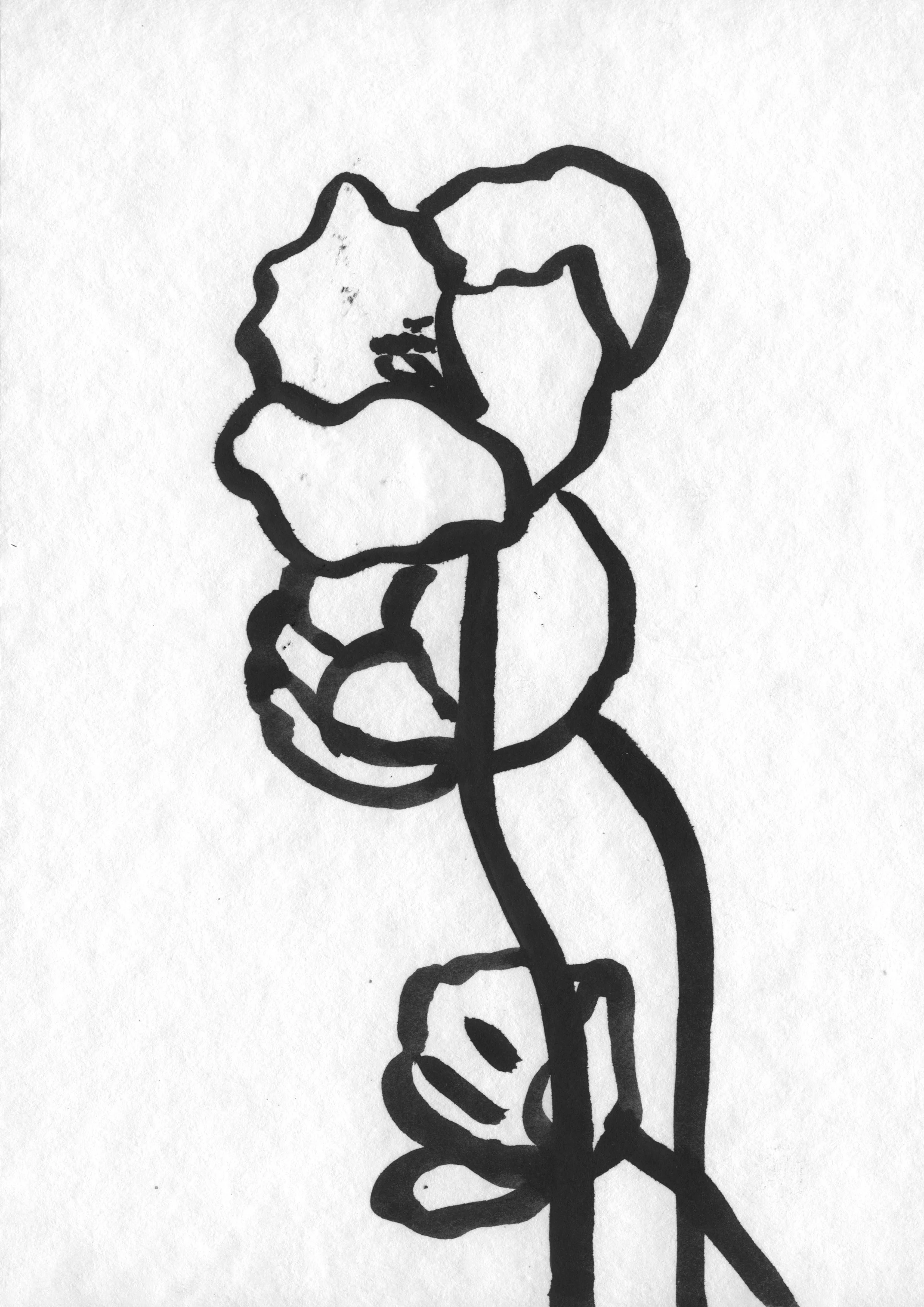 Sarah Hankinson Ink Drawings4.jpg