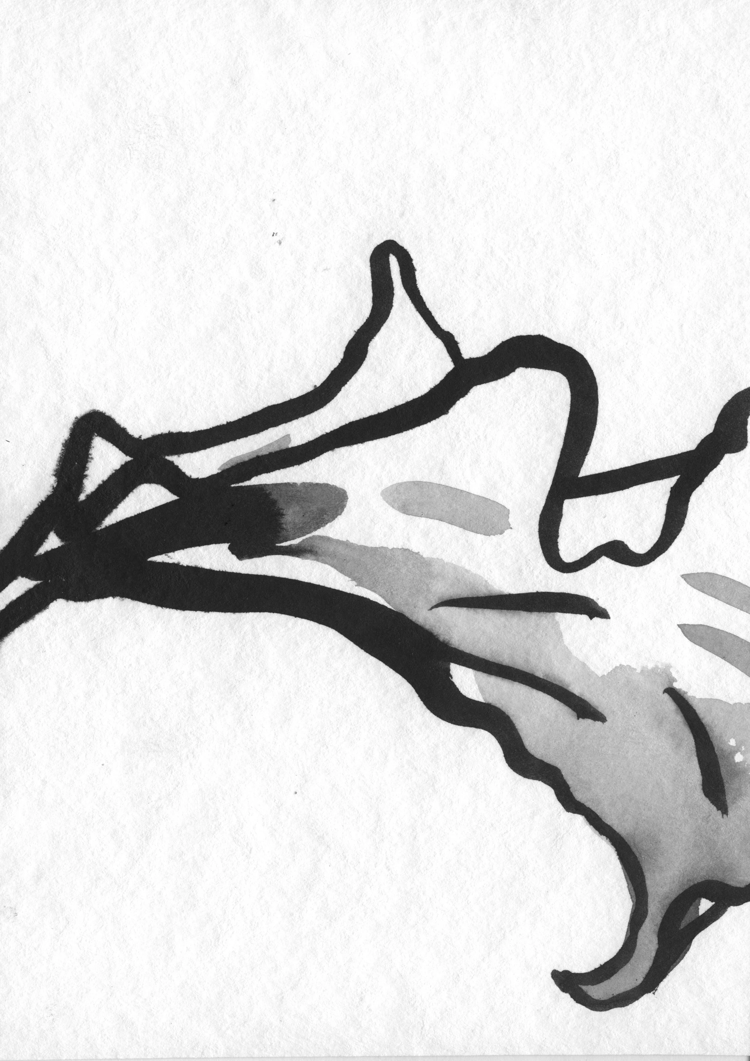 Sarah Hankinson Ink Drawings12.jpg