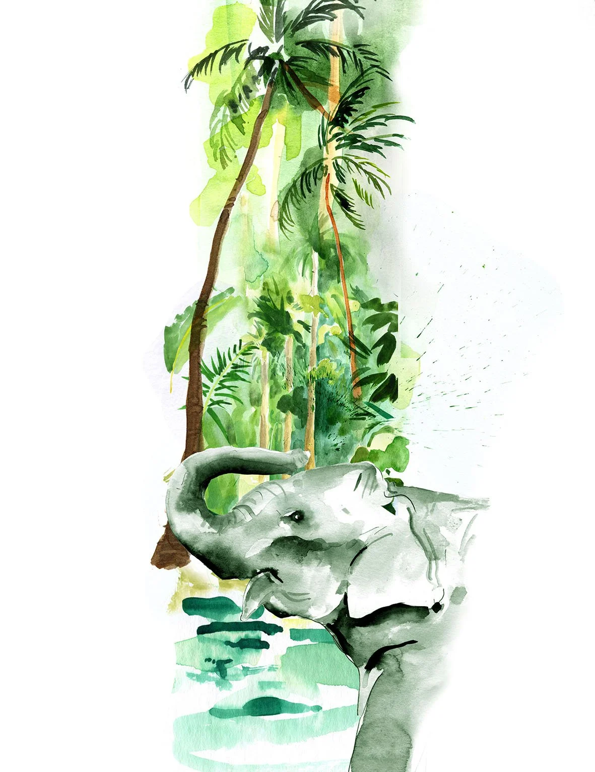 SampleD_Sarah Hankinson_Our Beautiful Planet copy 2-Recovered copy.jpg