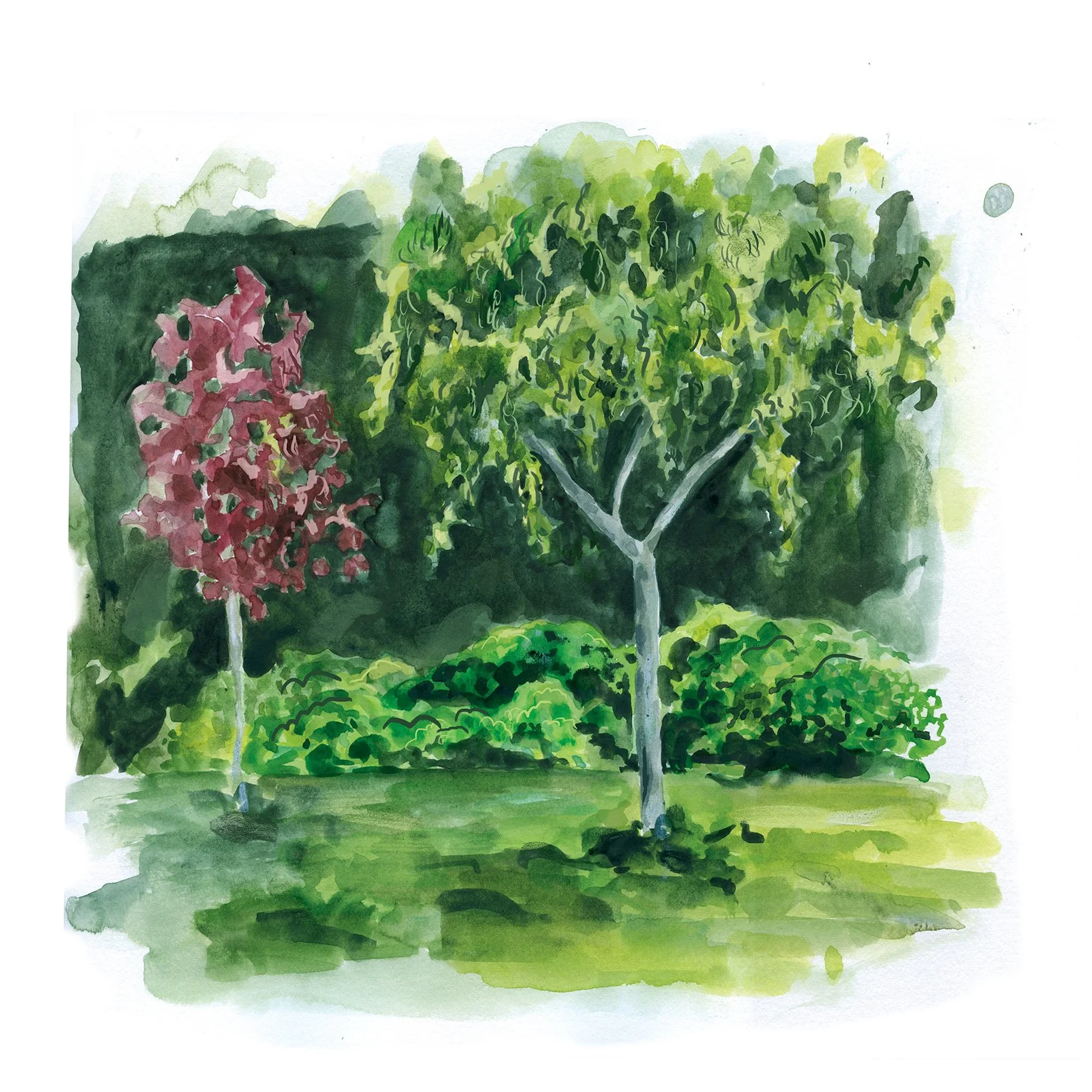 V3_Denmark Gardens_Earl st_Sarah Hankinson copy.jpg