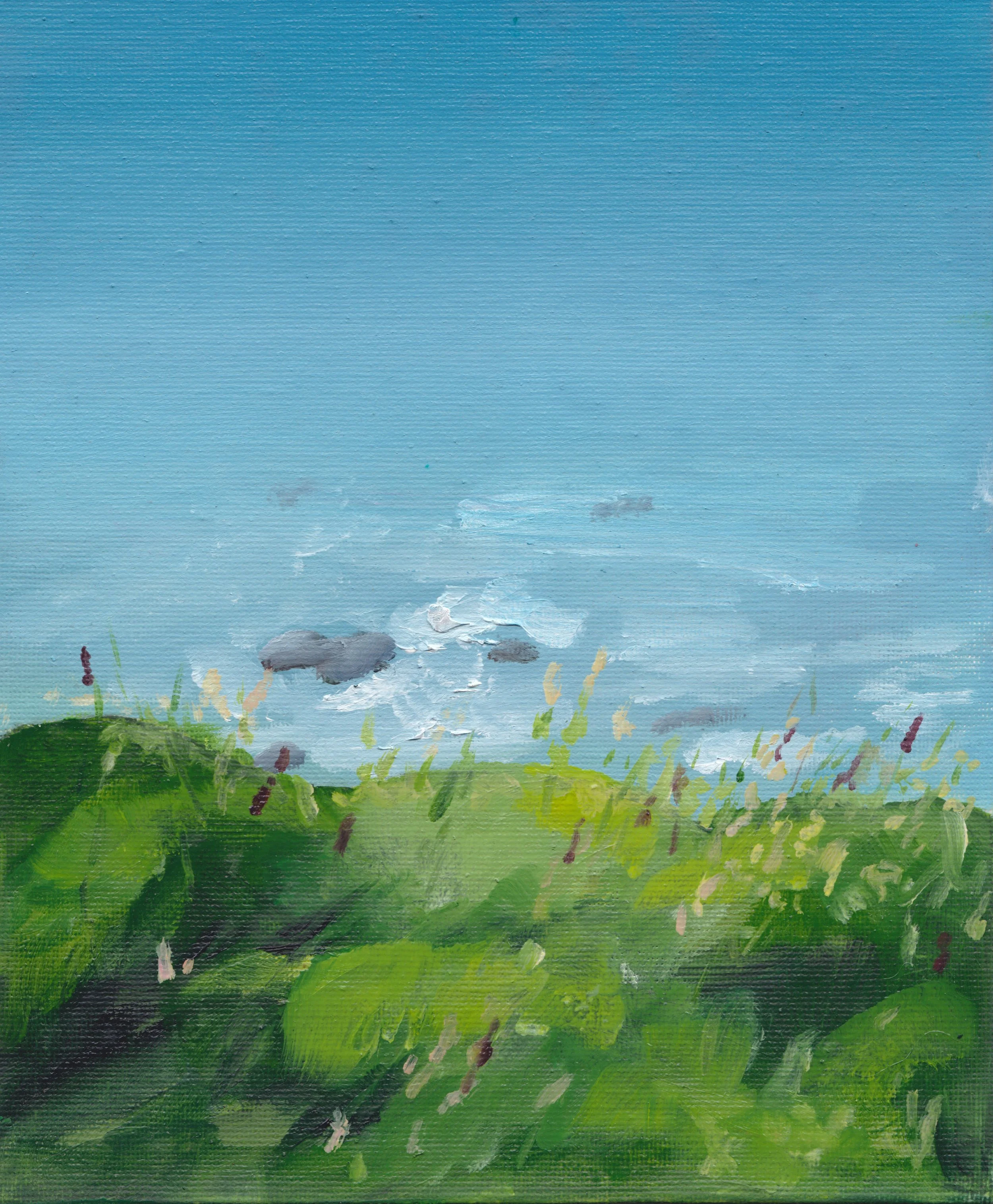 Clifftop view_SarahH copy.jpg