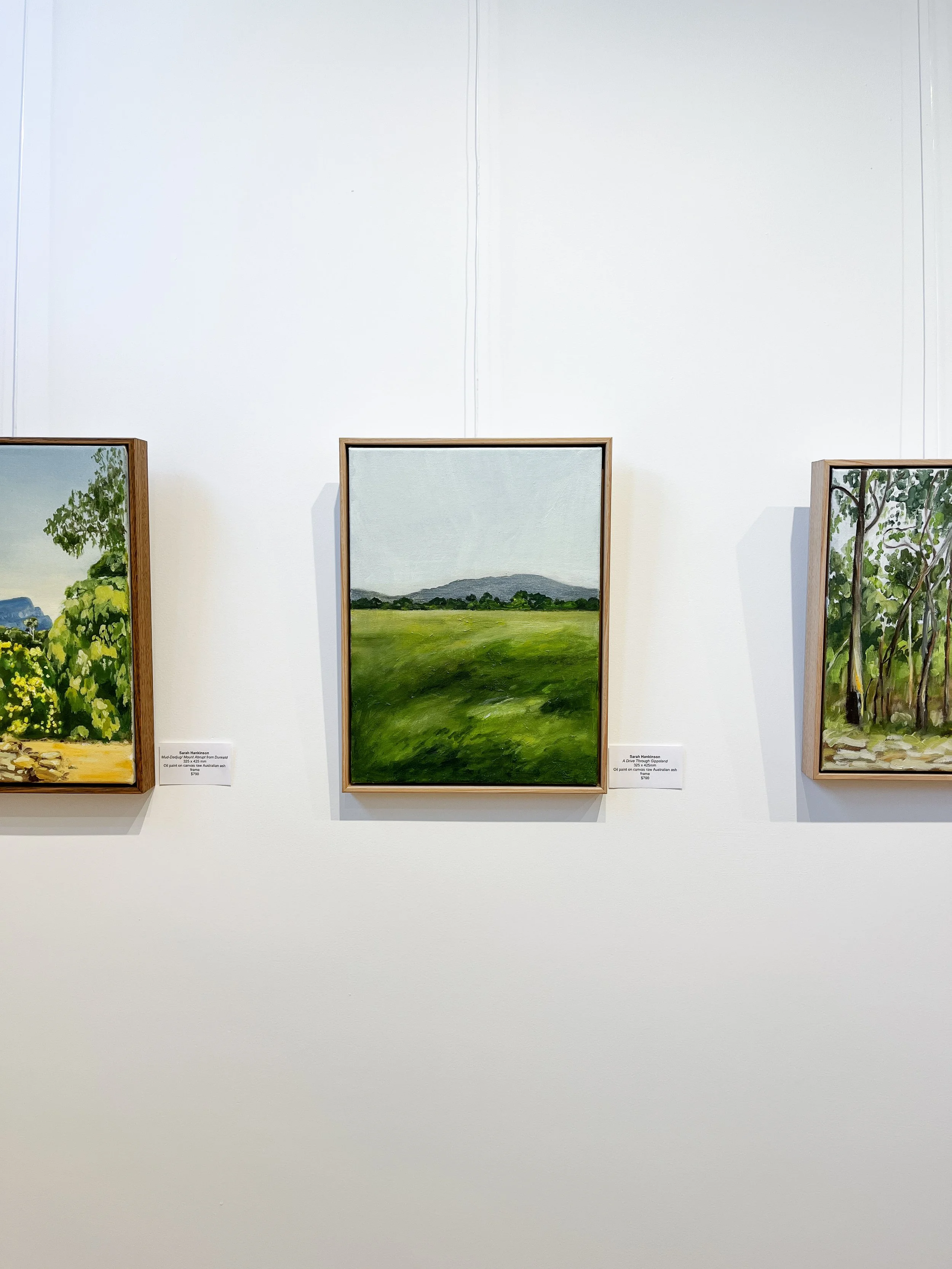 Sarah Hankinson_Land and Flowers_Art exhibition Painting, Drawing_FINAL2.jpg