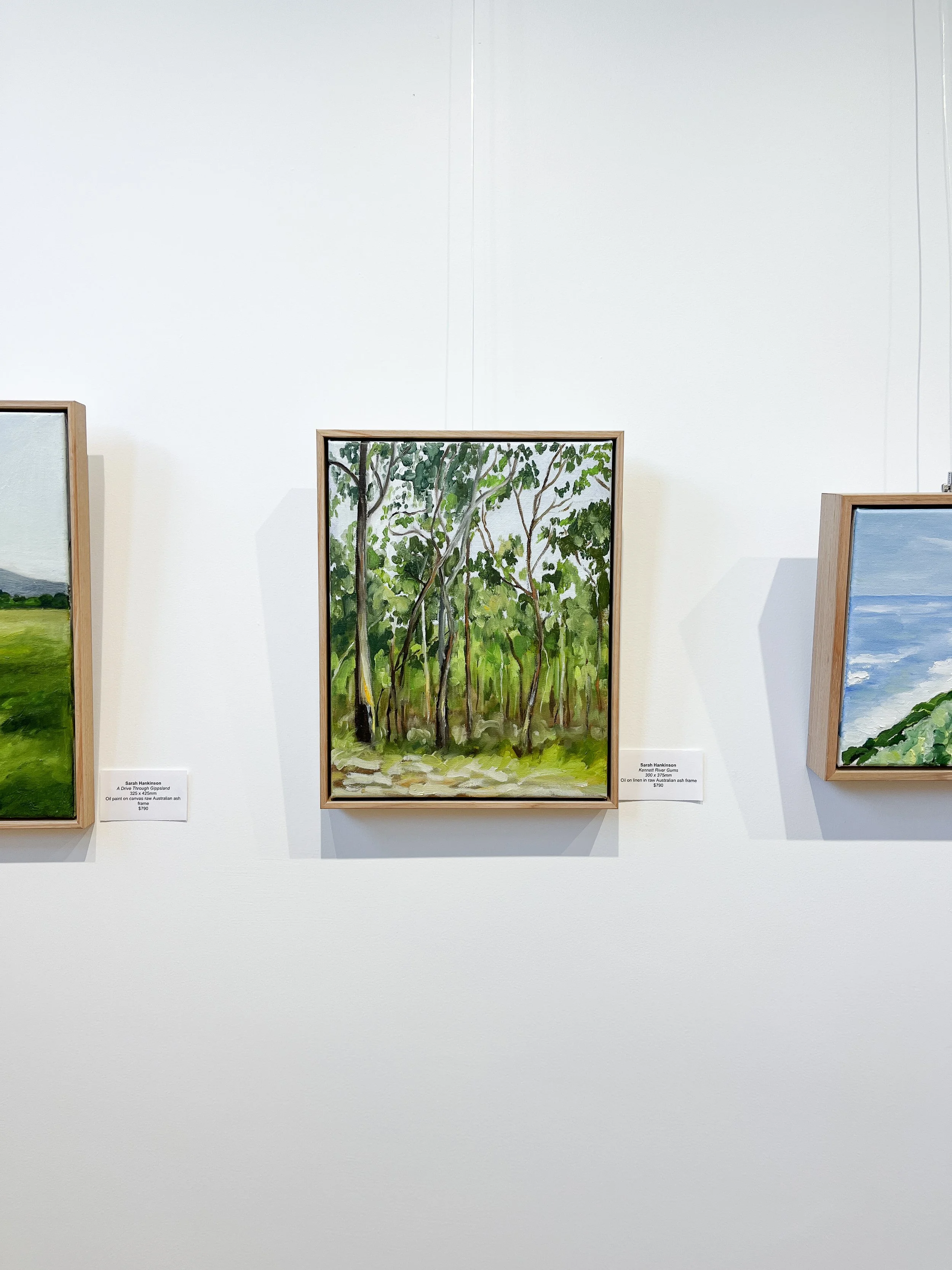 Sarah Hankinson_Land and Flowers_Art exhibition Painting, Drawing_FINAL8.jpg