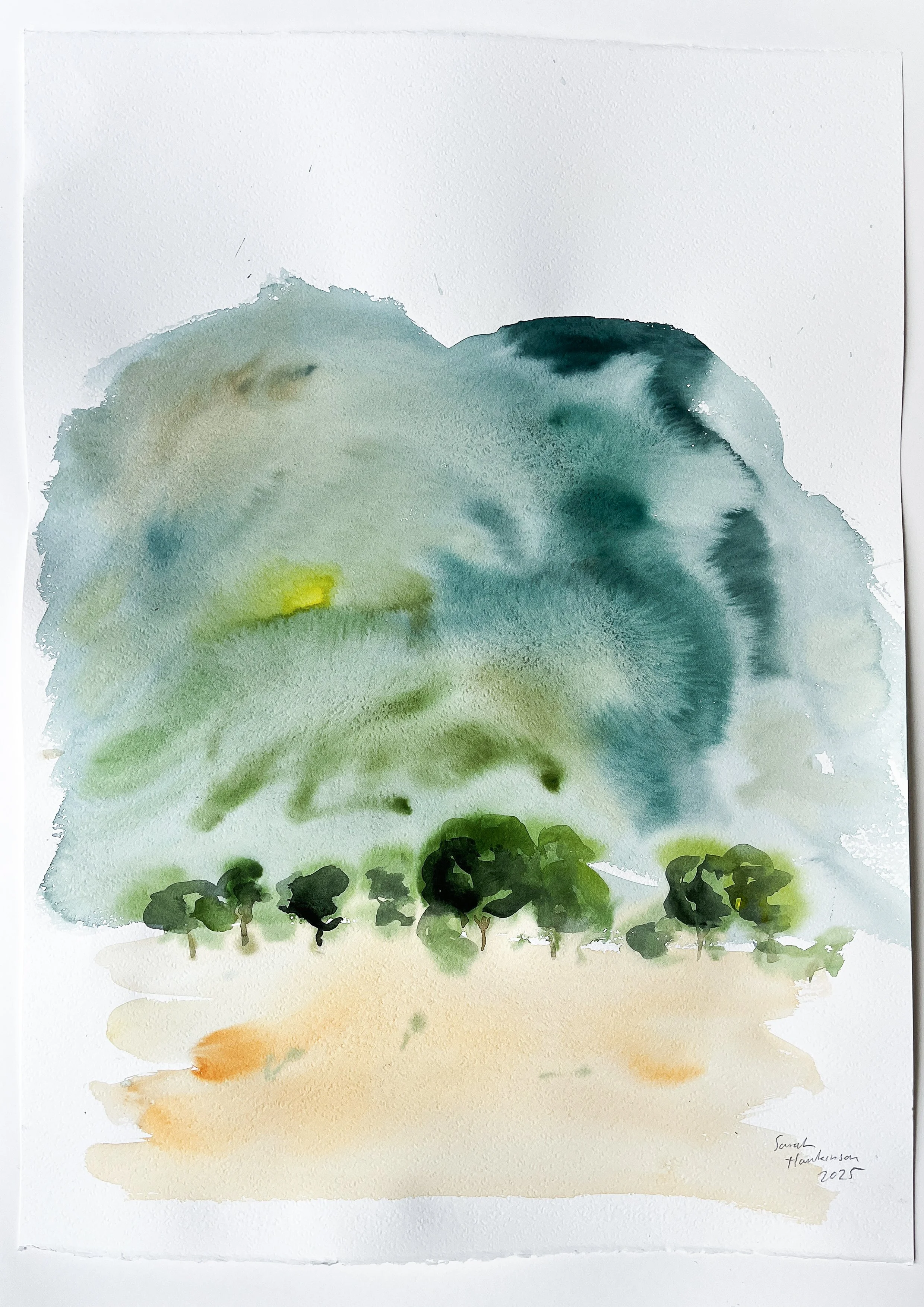 Sarah Hankinson_Land and Flowers_Art exhibition Painting, Drawing_FINAL10.jpg