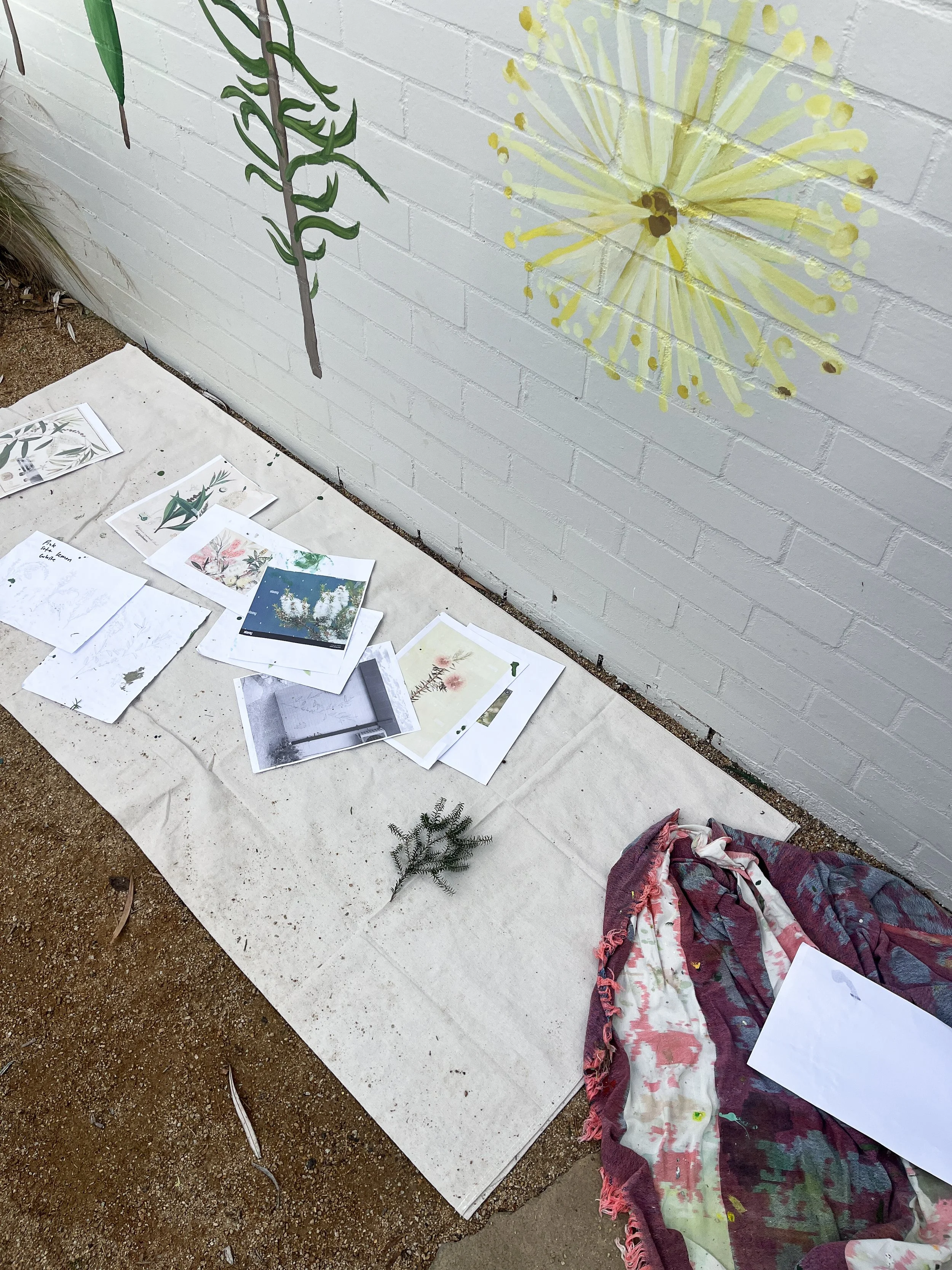 Sarah Hankinson_Moonah Botanical Mural 9.jpg