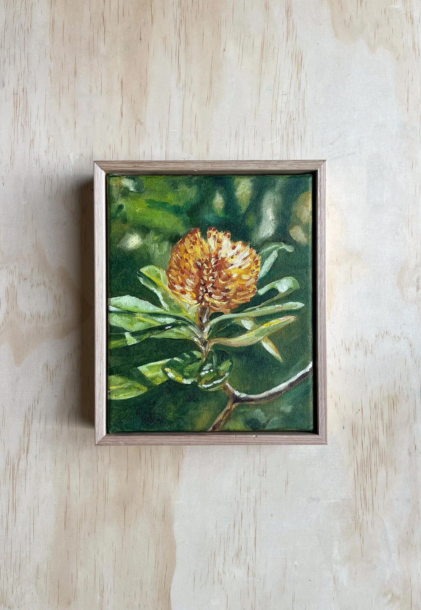 Banksia1_Sarah Hankinson Land and Flowers exhibition landscape oil painting.jpg