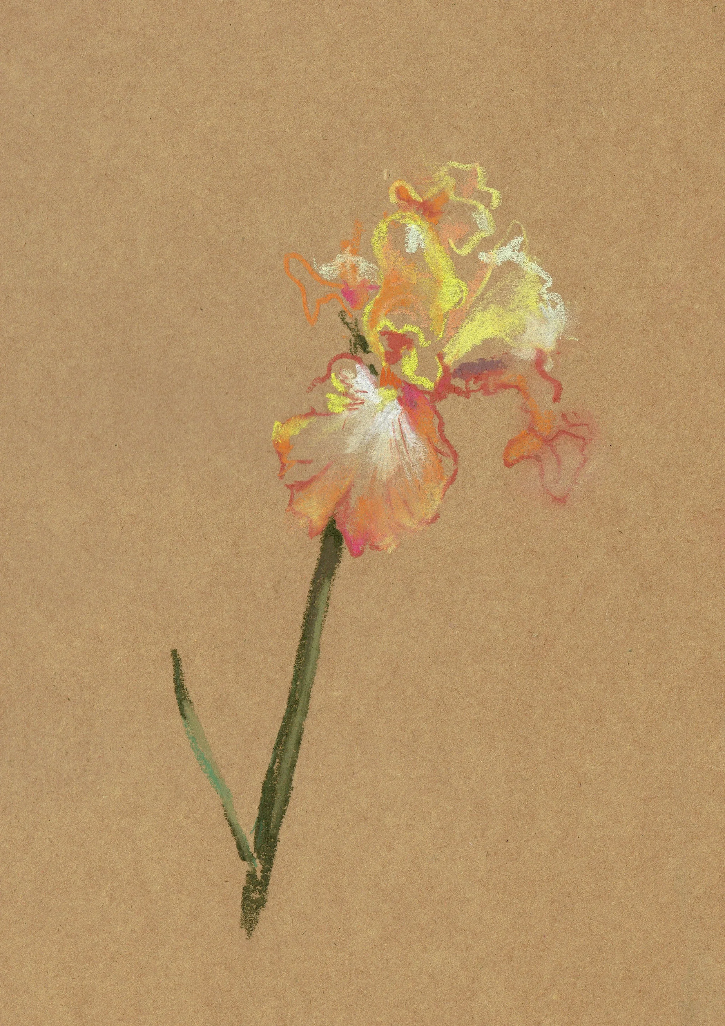 SarahHankinson_Pastel-flora1.webp