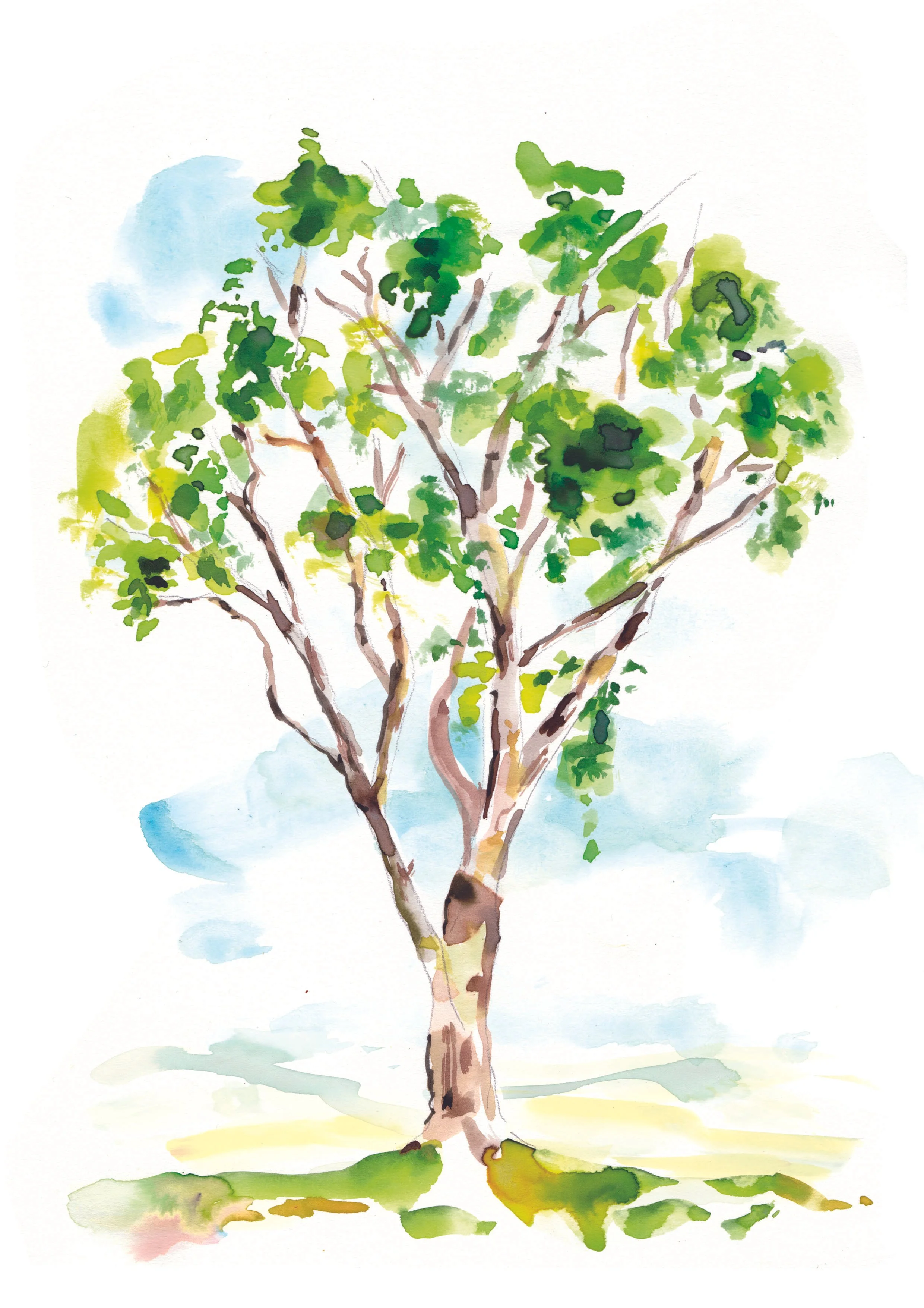 Pathways_Family Gum Tree copy.jpg