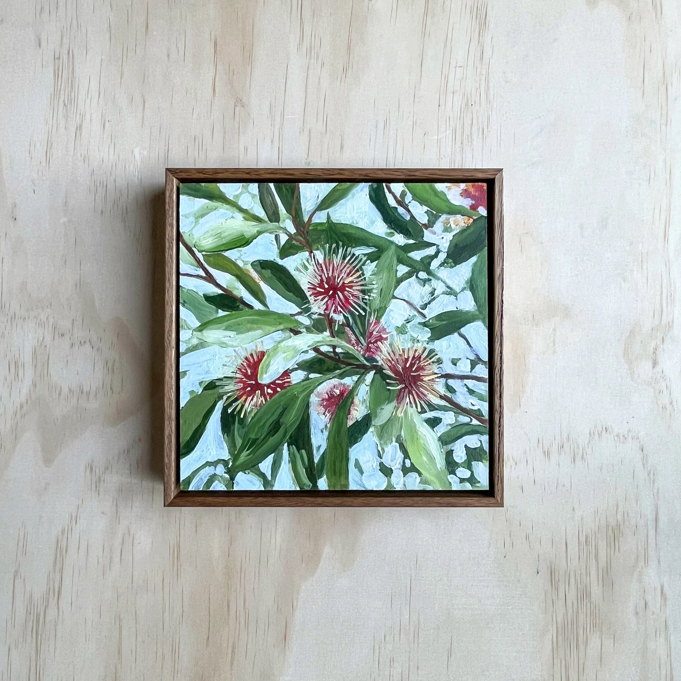 Hakea_Sarah Hankinson.jpg