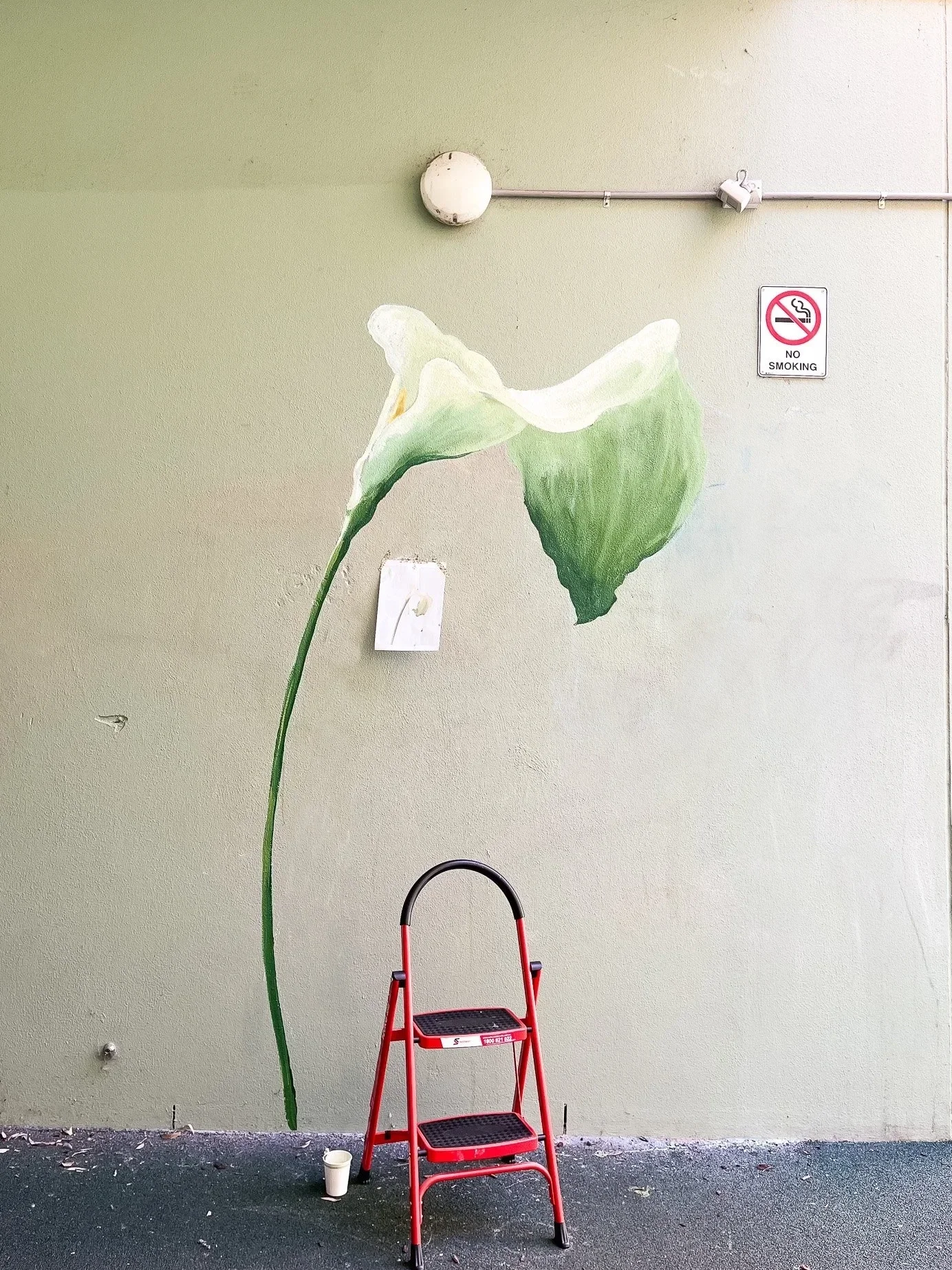 Sarah+Hankinson_Melbourne+Botanical+Flower+Mural14.webp