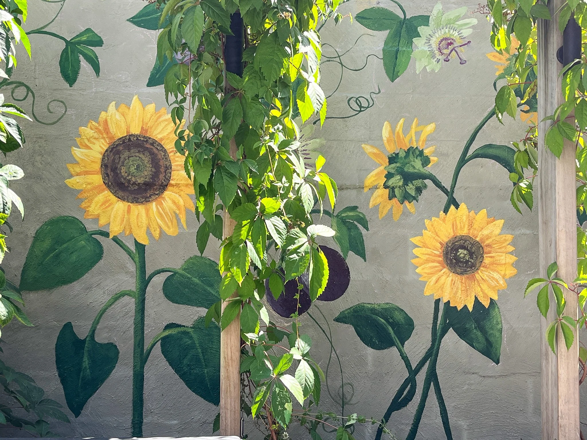 Sarah Hankinson Sunflower Passionfruit Mural25.jpg