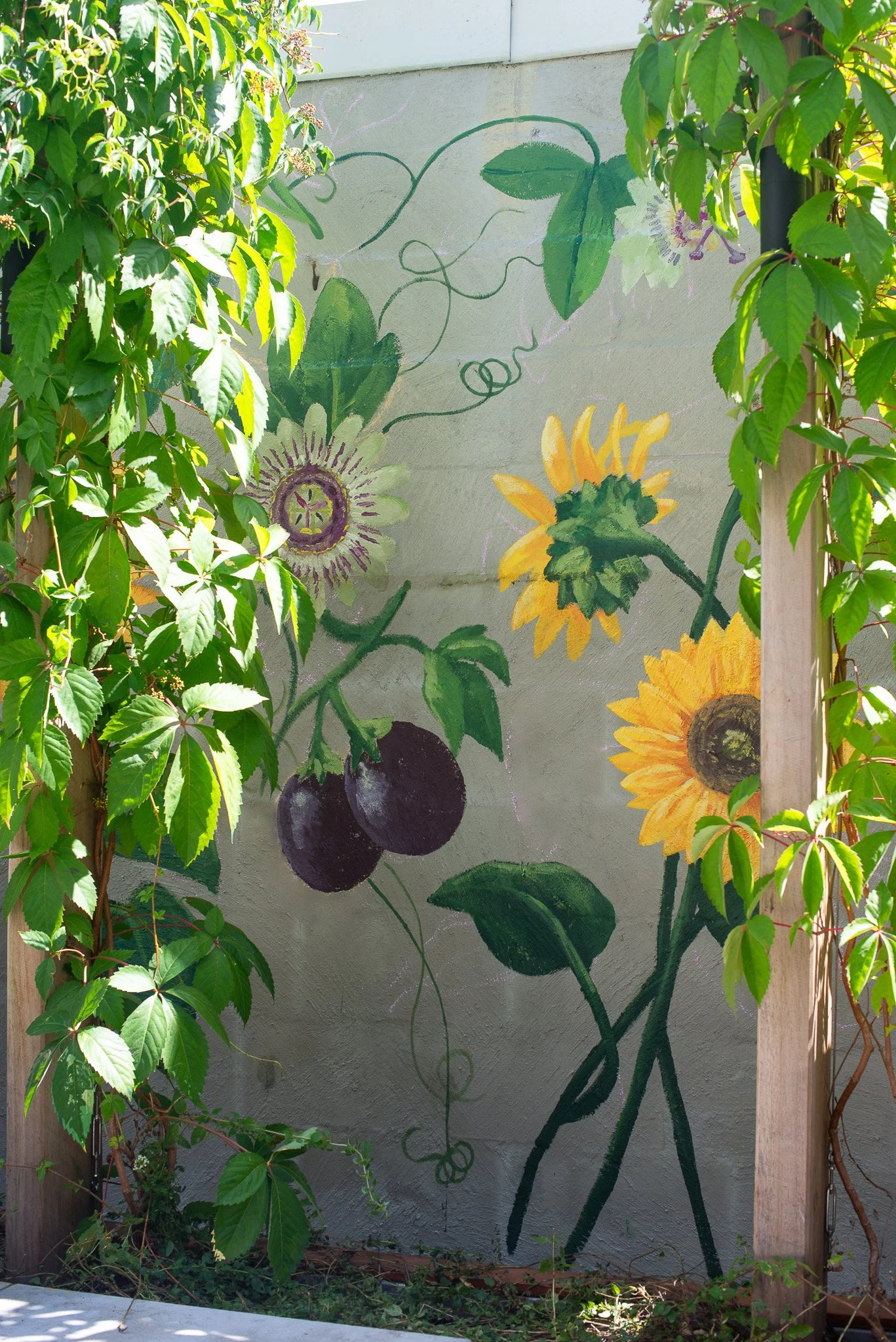 Sarah Hankinson Sunflower Passionfruit Mural12.jpg