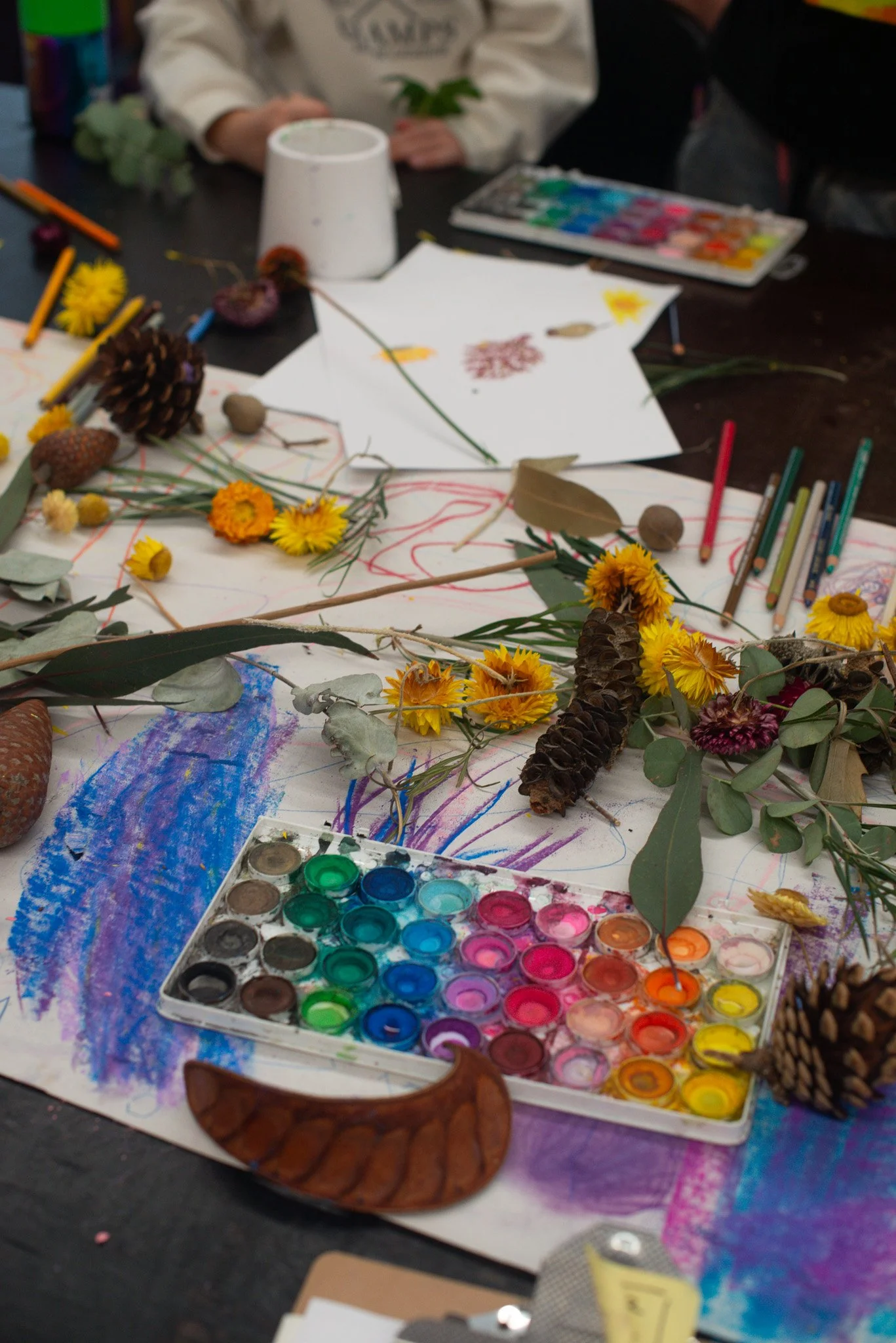 Sarah Hankinson KIds Art Watercolour Drawing  Workshop Melbourne55.jpg