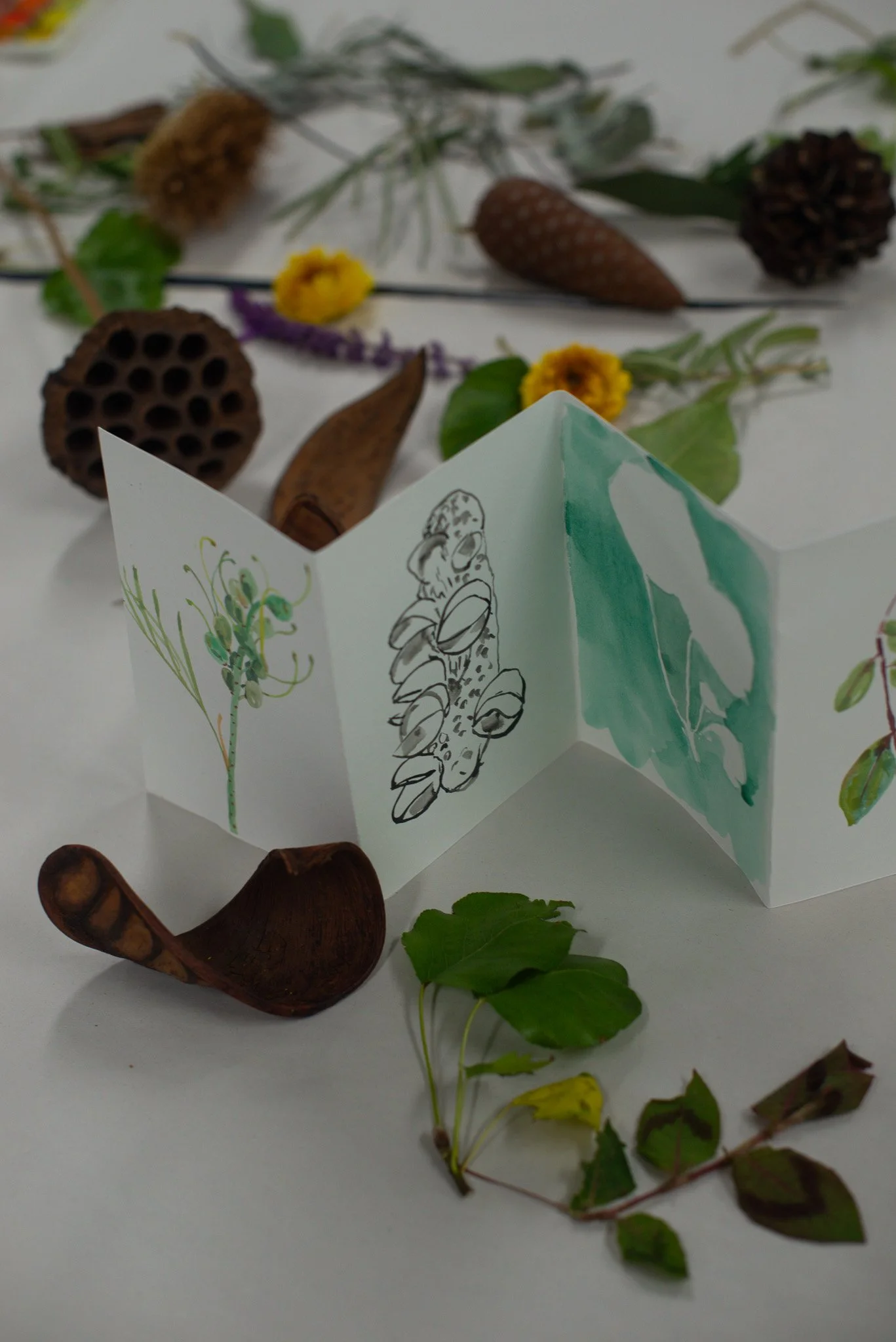 Sarah Hankinson  Art Incusion Schools Workshop Melbourne9.jpg
