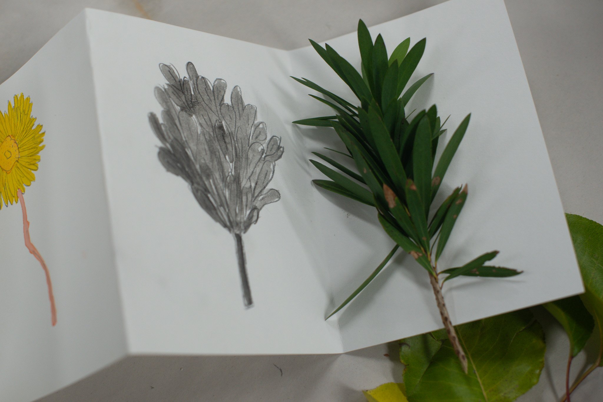 Sarah Hankinson  Art Incusion Schools Workshop Melbourne26.jpg
