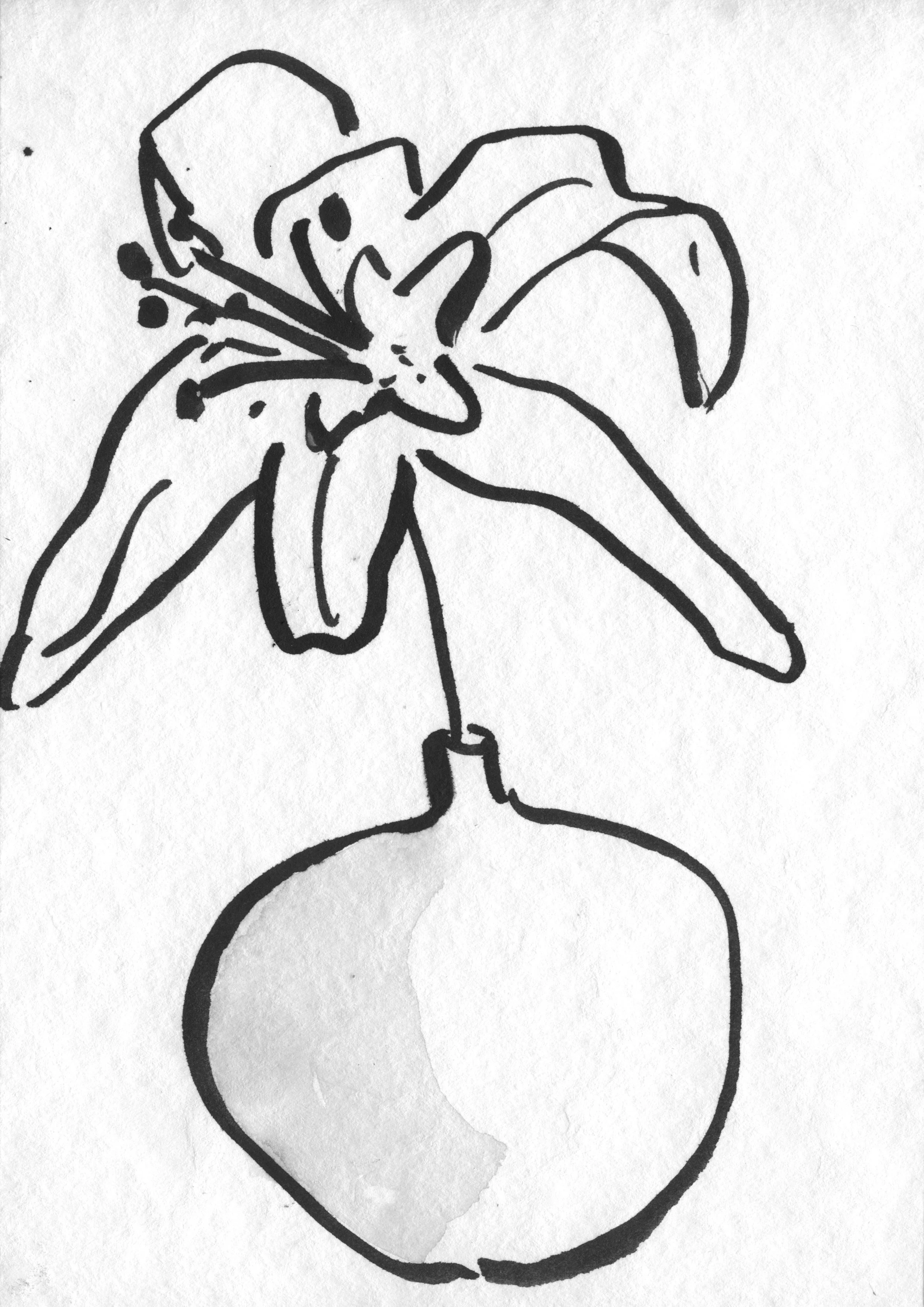 12_Dec_Sarah Hankinson Ink Drawings7 copy.jpg