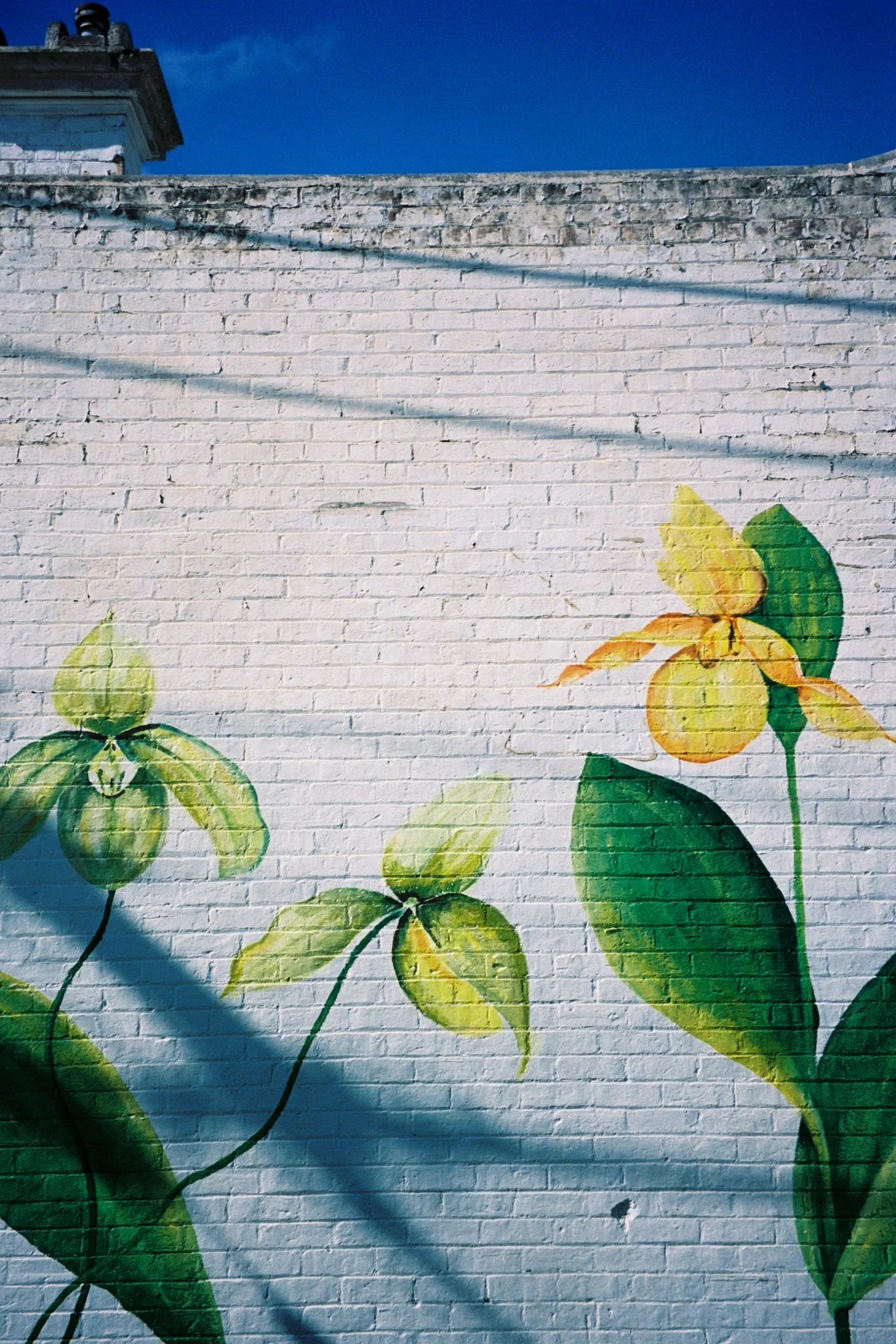 sarahhankinson_ramble mural17.JPG