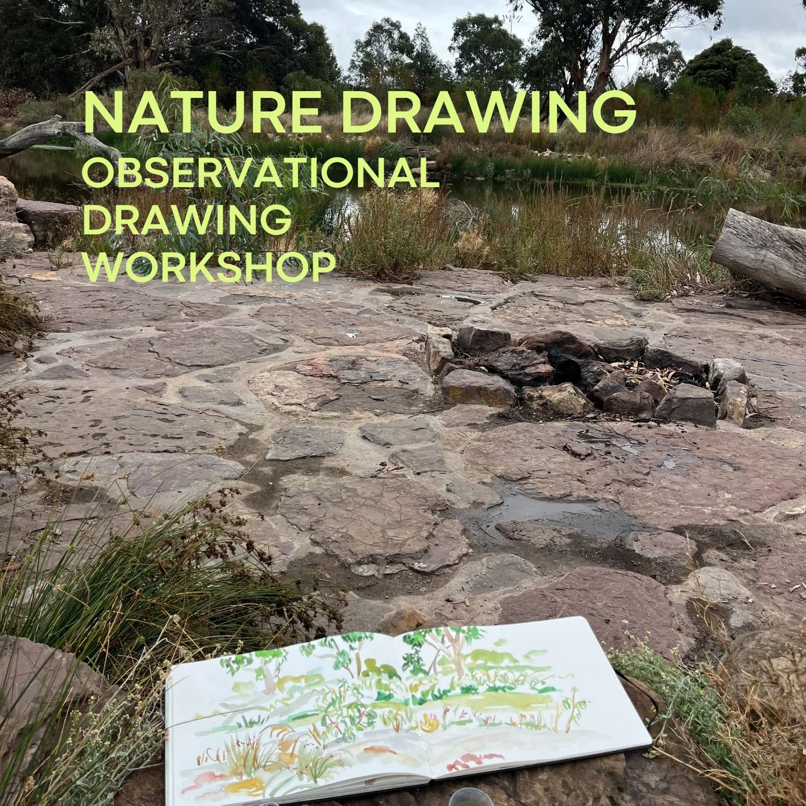 Nature Drawing 1.jpg