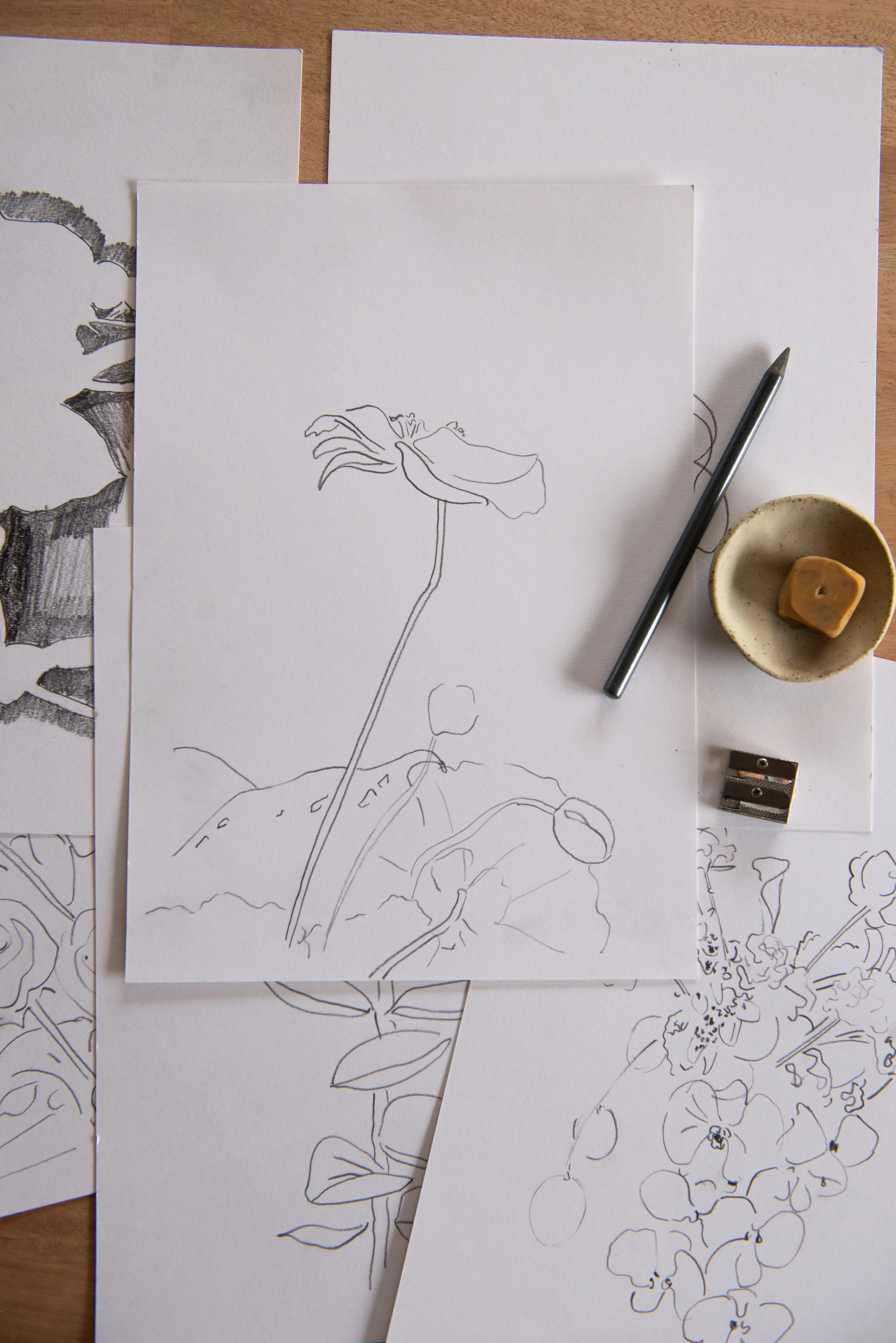 Sarah Hankinson Art Class Book Flowers and Foliage111.jpg