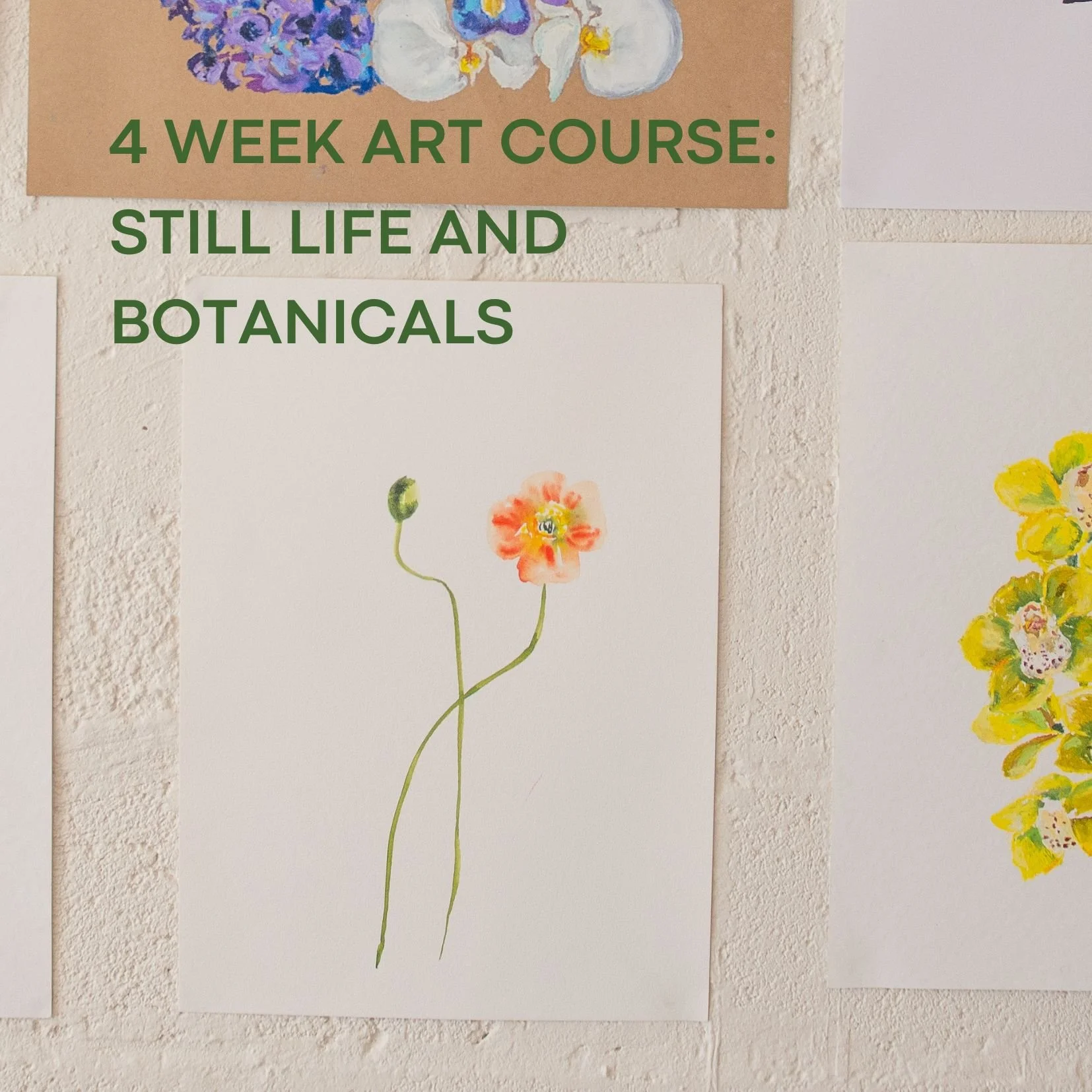Art Class Still Life and Botanicals.jpg