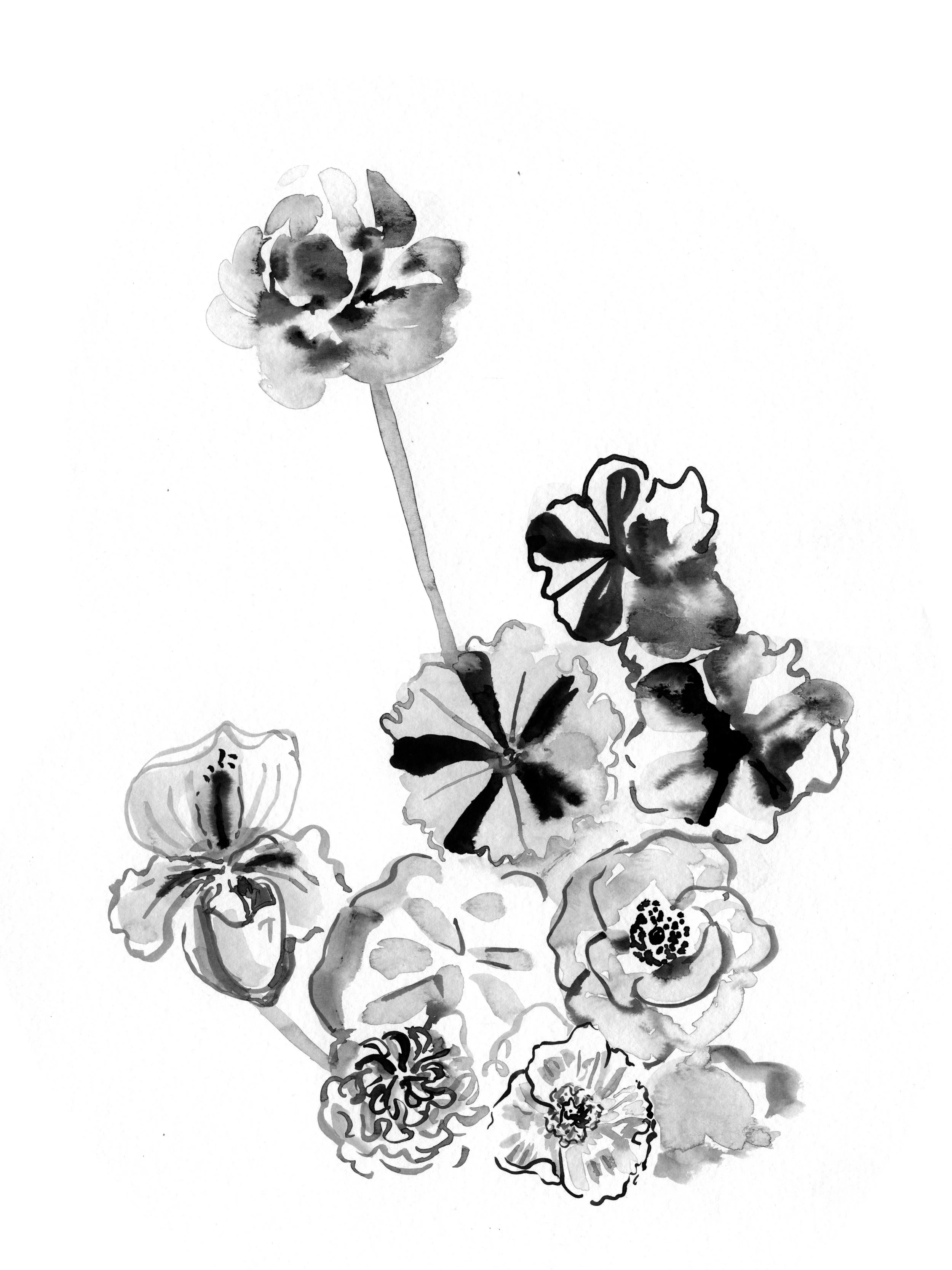 3 - march Sarahhankinson_Ink_Botanical4 copy.jpg