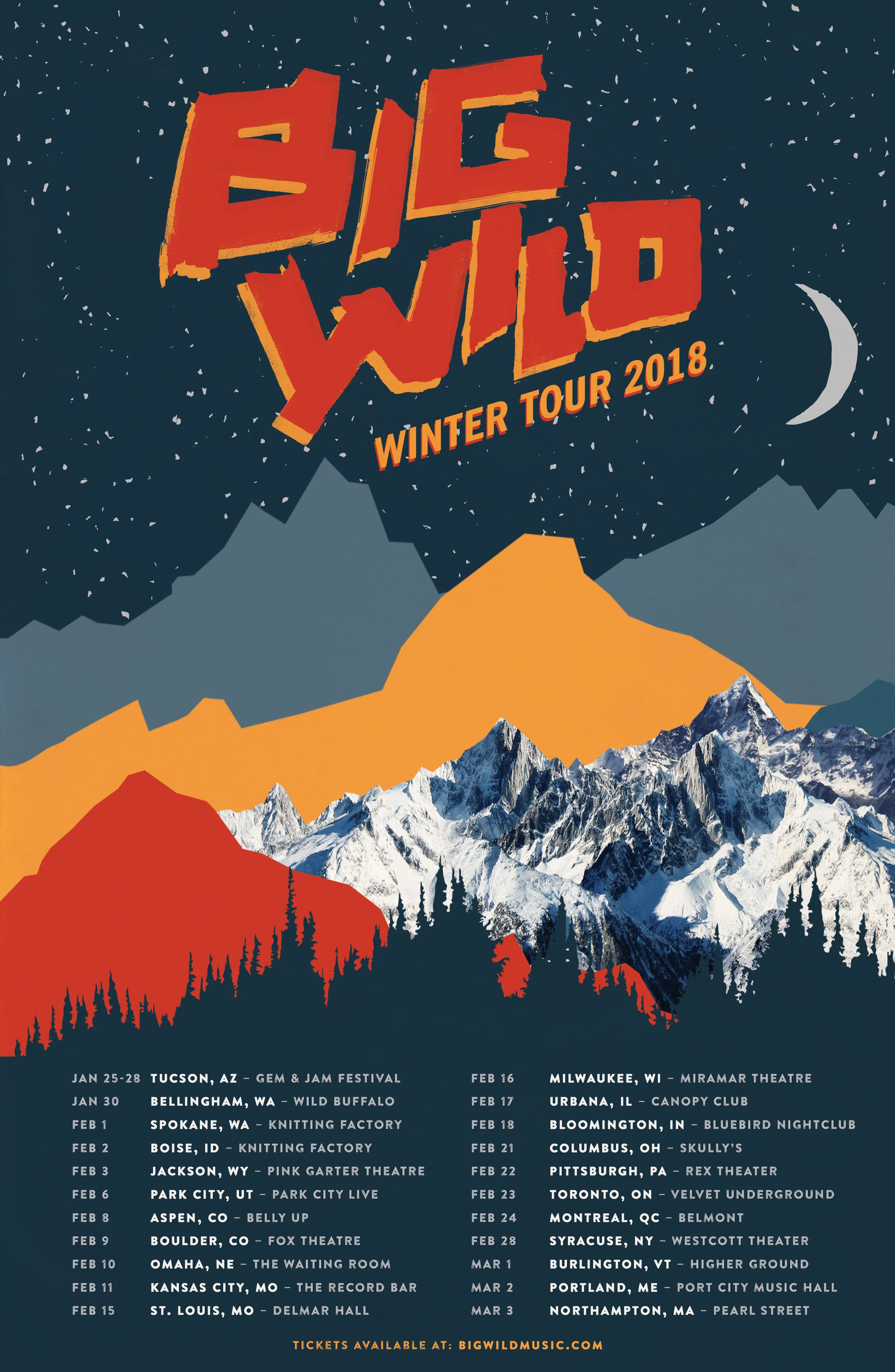 BigWild_WinterTour2018_TourFlyer.jpg