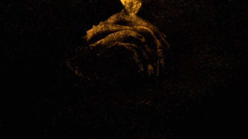 SunModels-Rose_3.gif