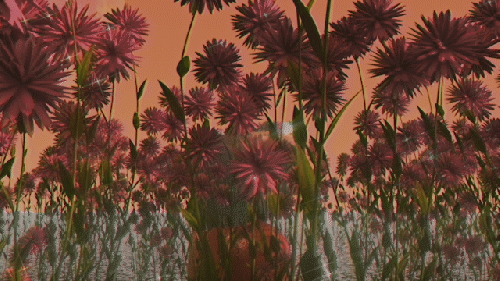 skytea_use.gif
