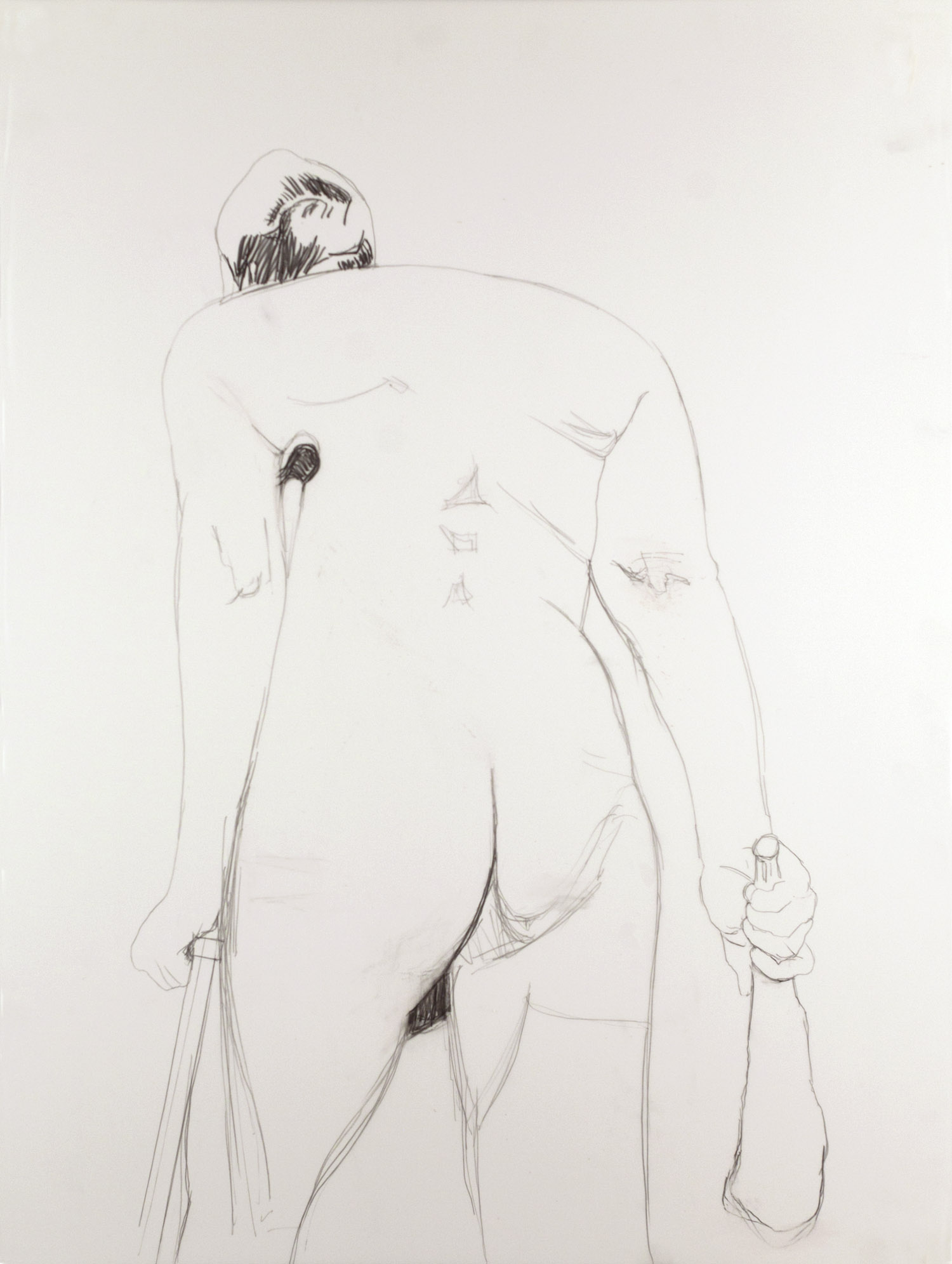 Hercules (Back) Graphite on mylar 30 x 22 1/2 inches 2010