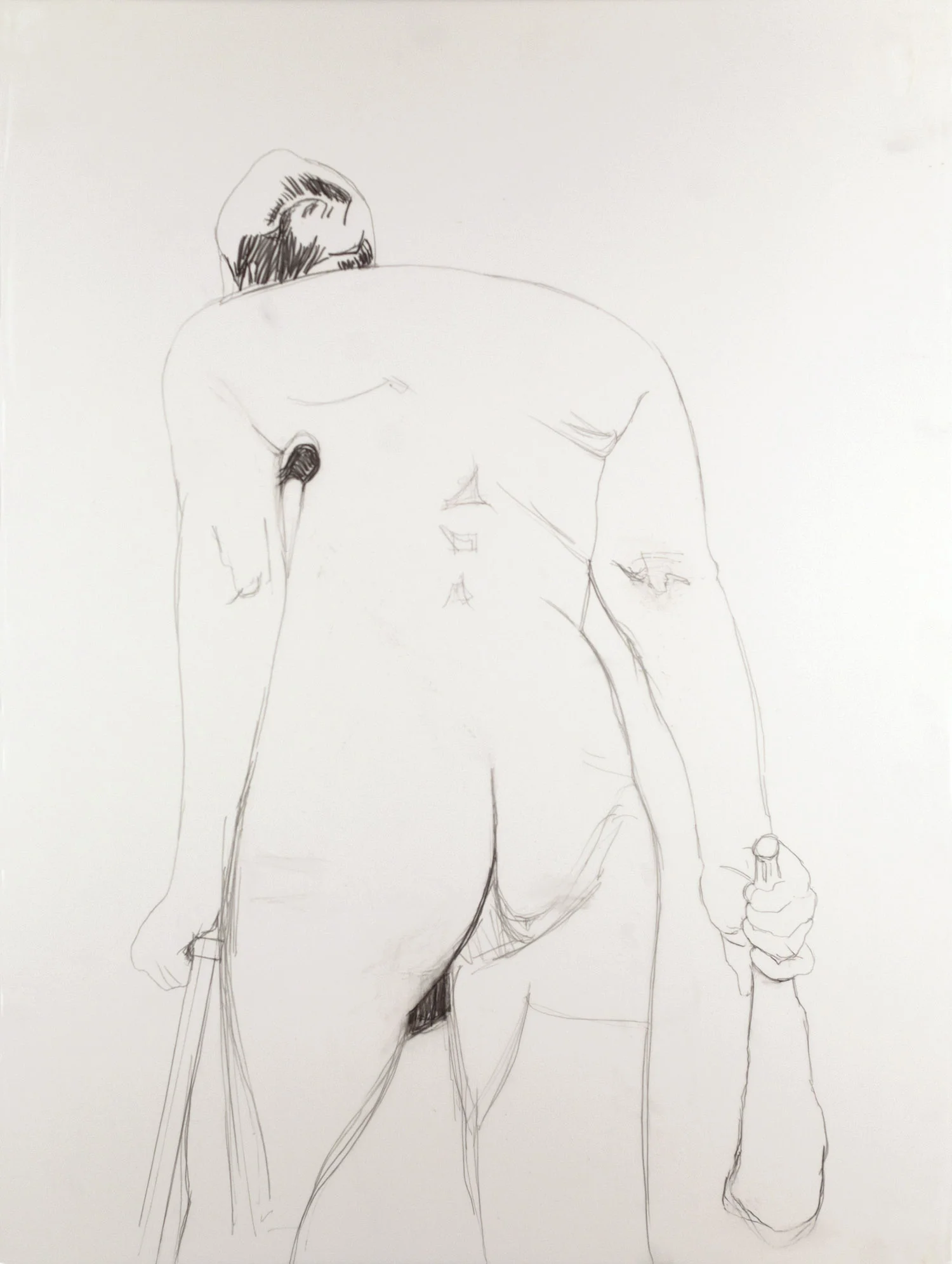 Hercules (Back) Graphite on mylar 30 x 22 1/2 inches 2010
