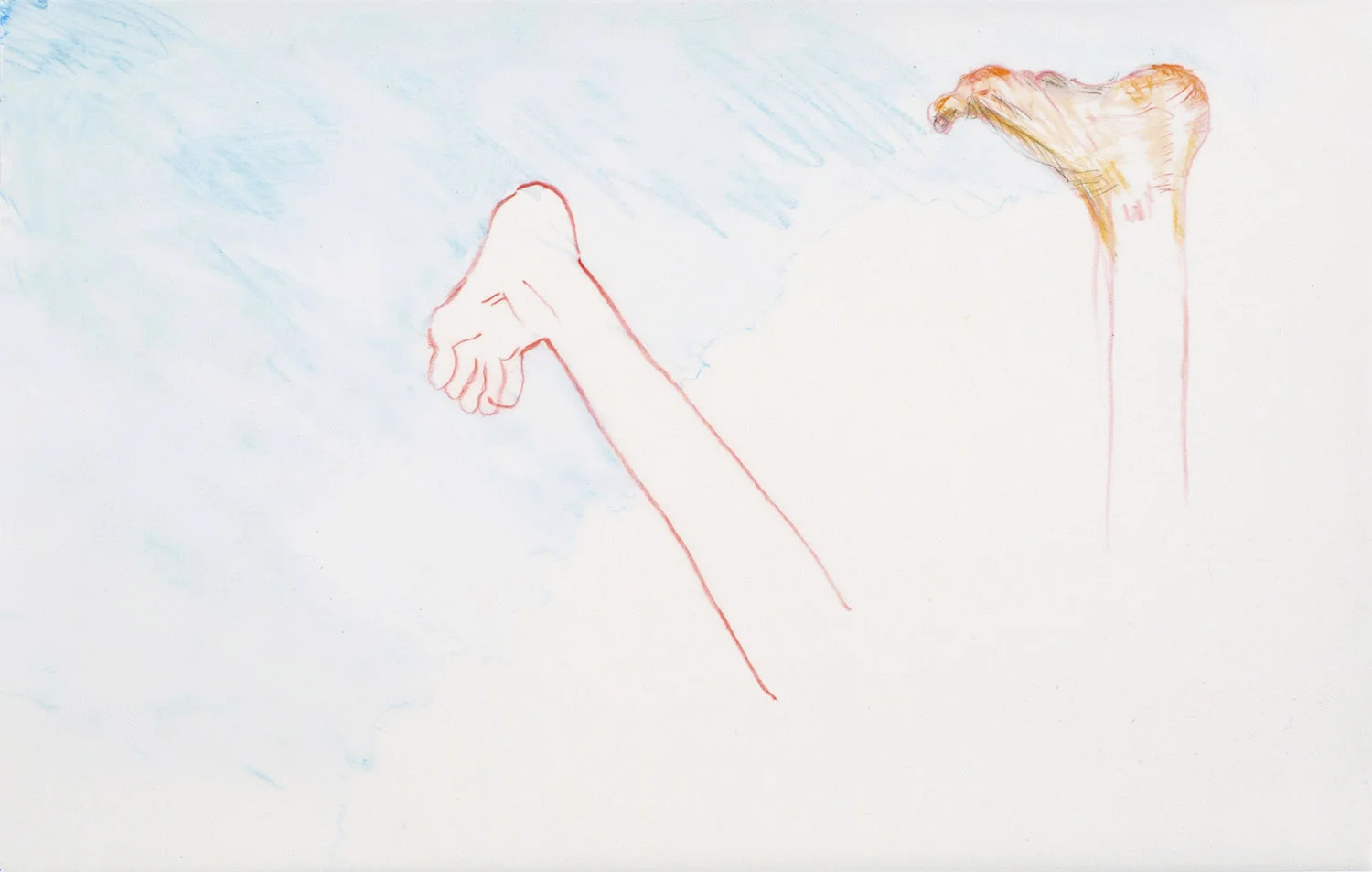 Foot Study Colored pencil and polymer emulsion on mylar 8 7/8 x 14 inches 2013