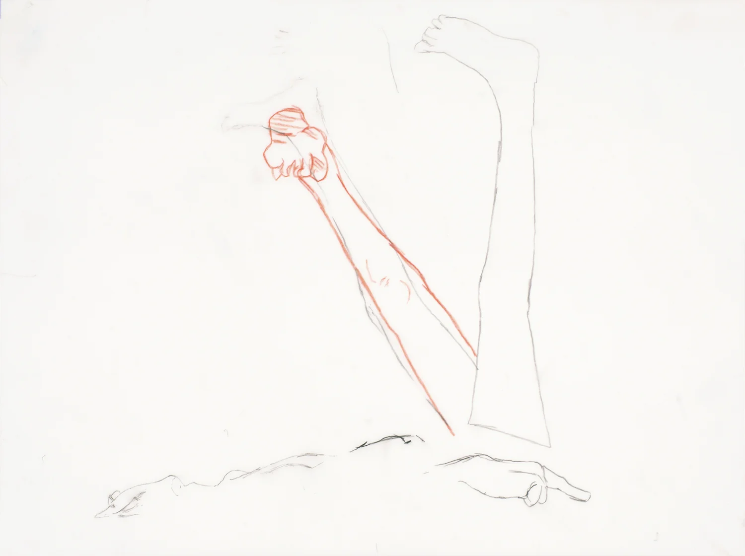 Untitled (Dead)(Study 1) Graphite and colored pencil on mylar 12 x 16 inches 2012