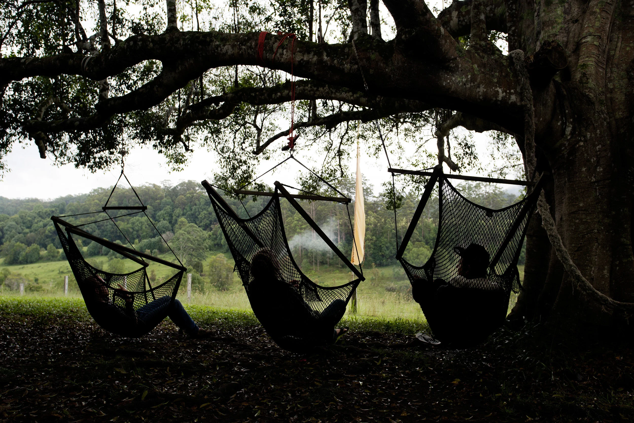  At the Rox Hostel, backpackers relax in hammocks overlooking the green hills of Nimbin NSW, Australia. Hostels and campsites are booked to capacity over Mardigrass weekend. 