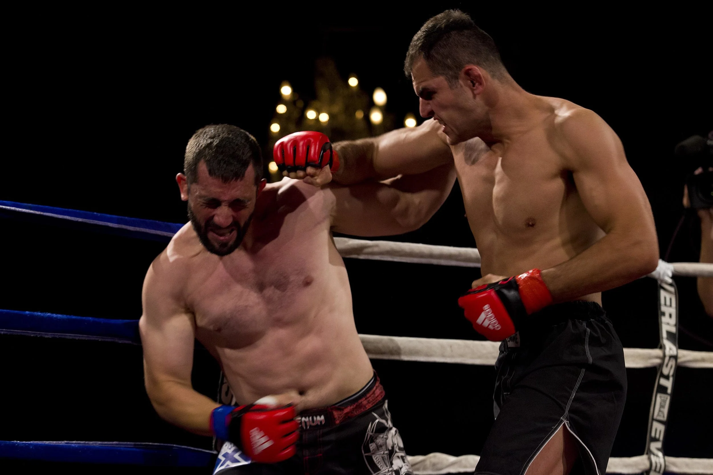 Viktor Grujic is dealt the full force of Zein Saliba at the Australian Fighting Championship, Melbourne Pavilion, Victoria. 