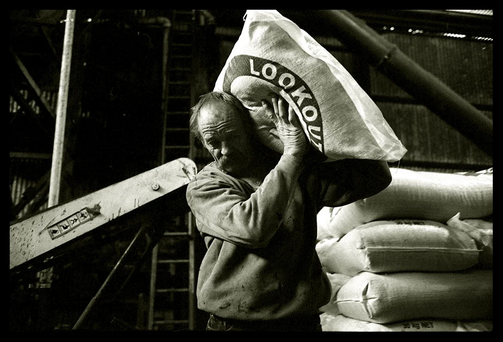 Casual labourer Allan stacks bags of 'Lookout' livestock feed as the machine fills and seals. He explains that if you don't change shoulders for each back you pick up, your body posture will become lop-sided. Rocklyn, Victoria 2007