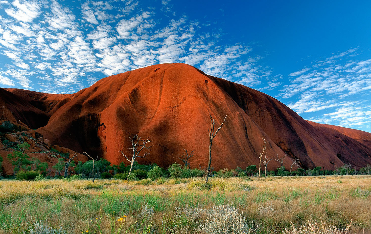 uluru.jpg
