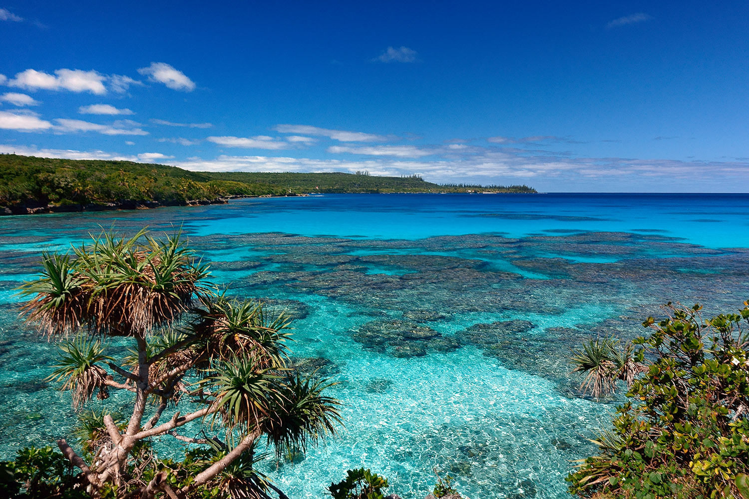 Loyalty Islands